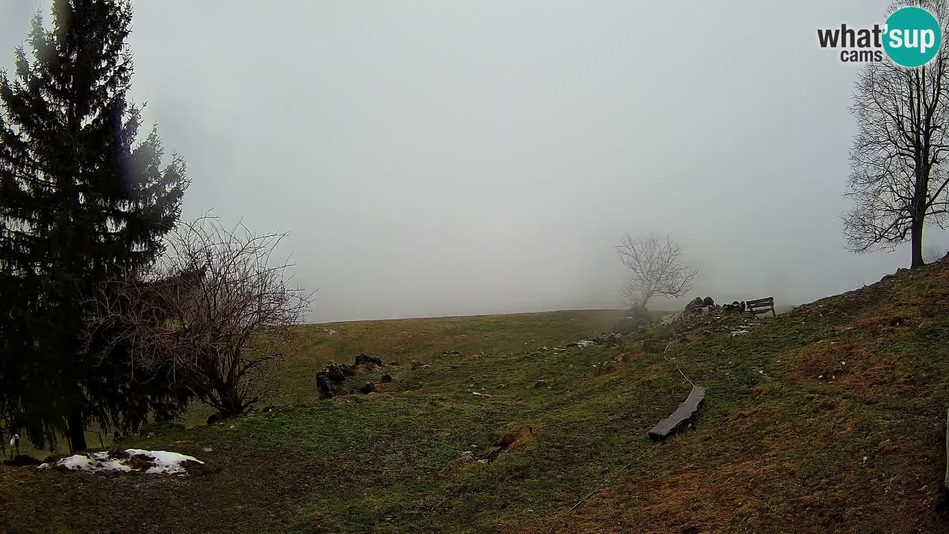 Slajka livecam | Gorenja Vas | Slovénie