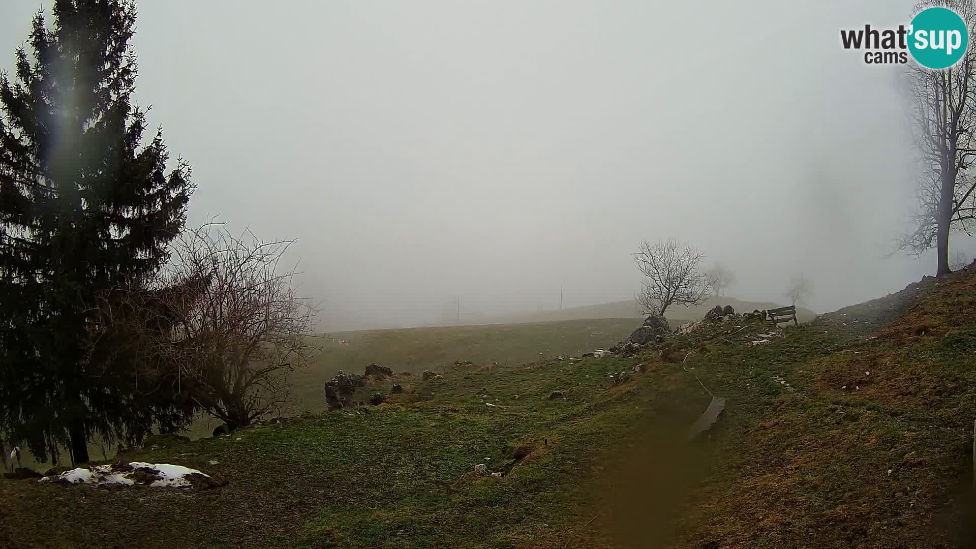 Spletna kamera Slajka | Gorenja vas