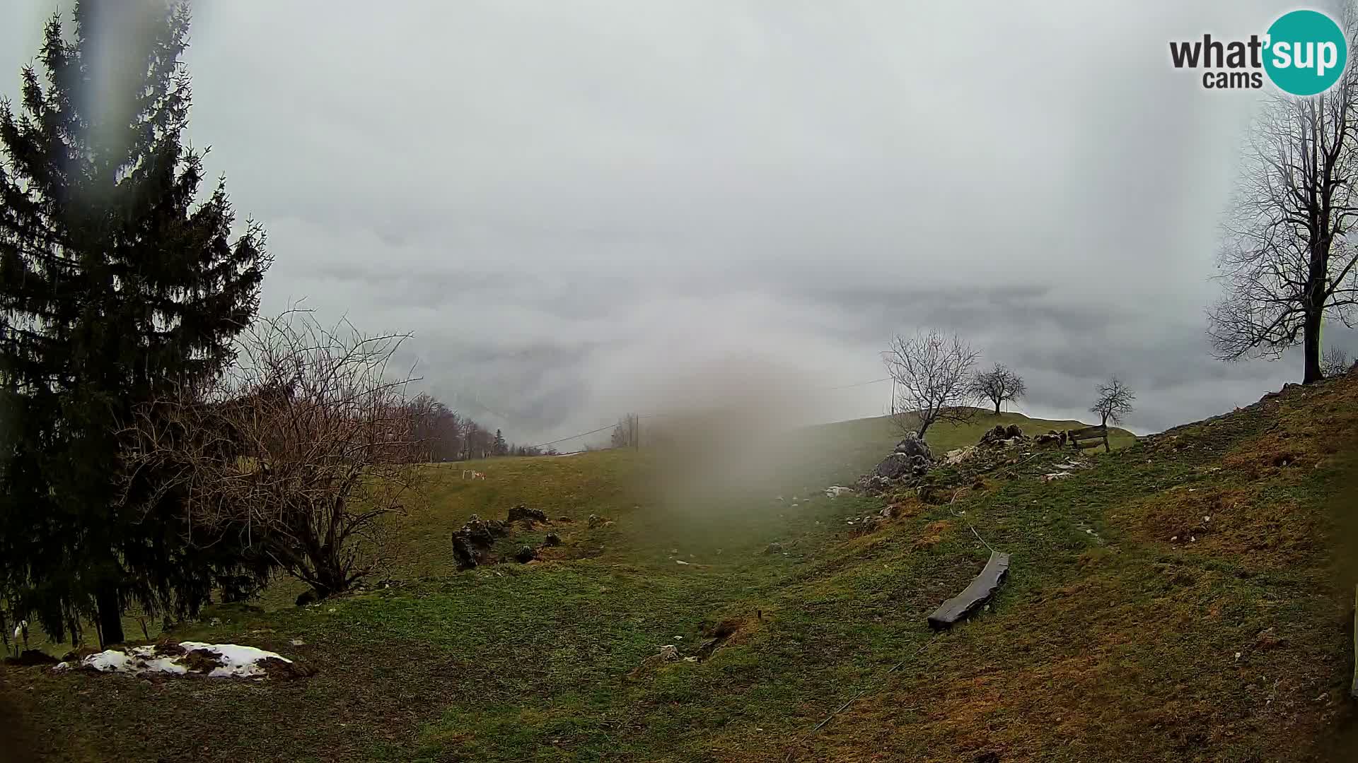 Slajka webam | Gorenja vas | Slovenia