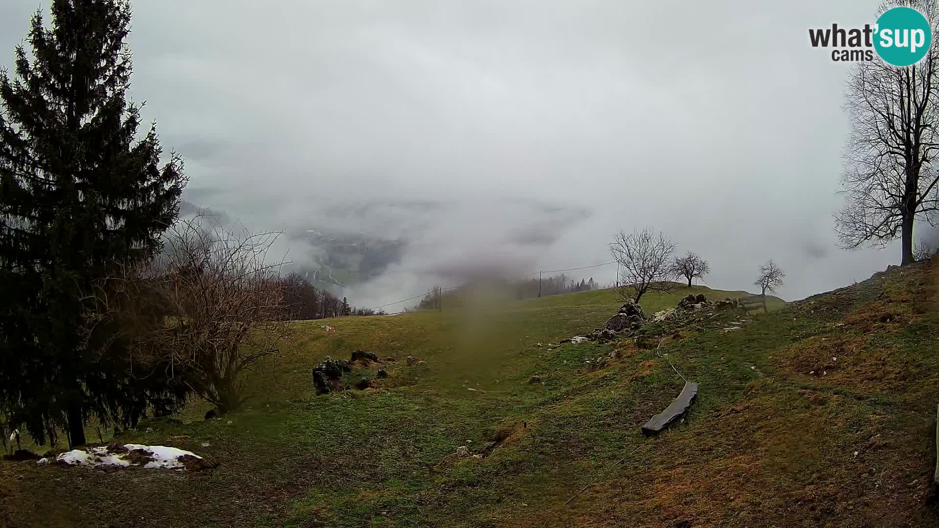 Slajka livecam | Gorenja Vas | Slovénie