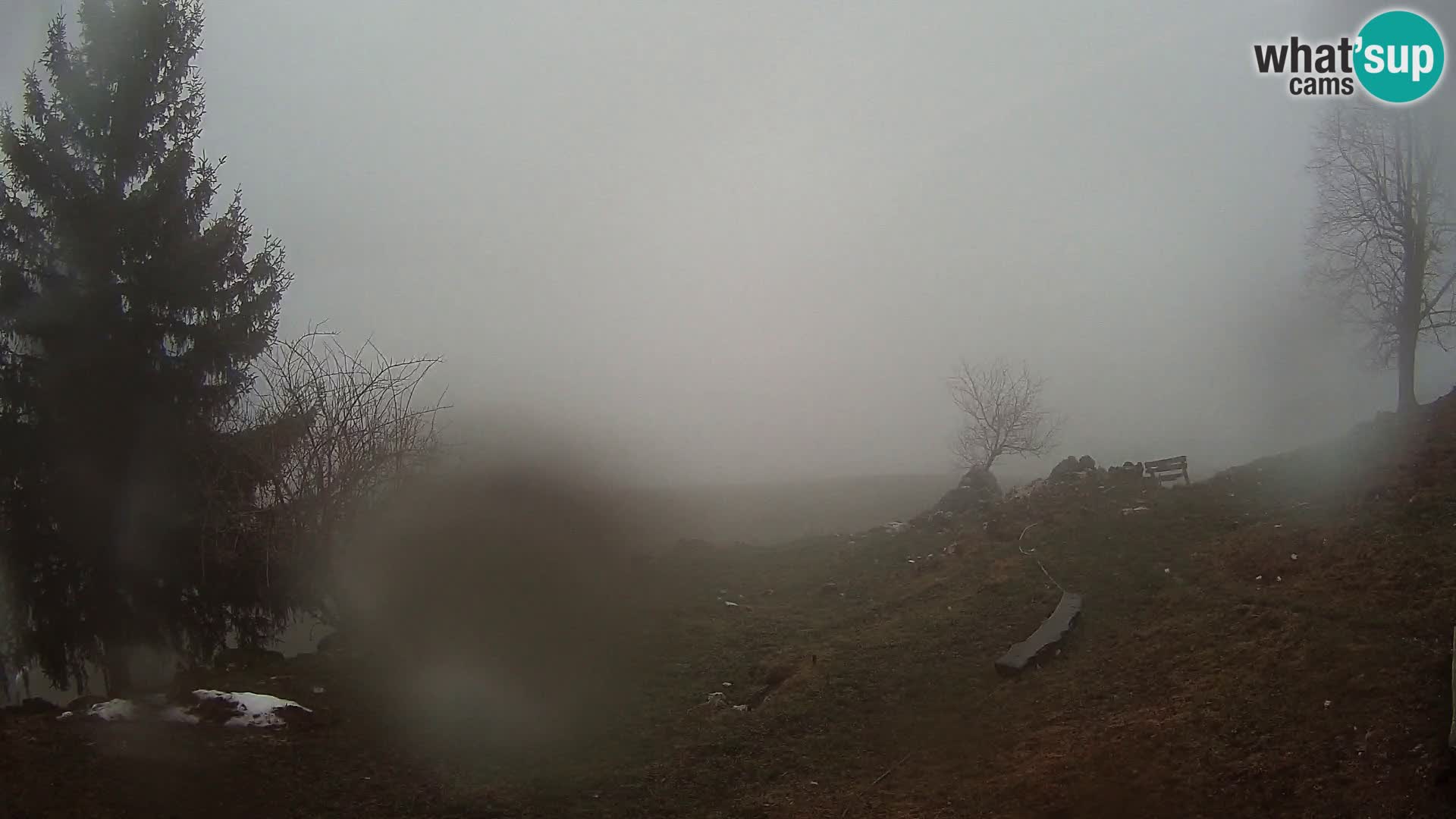 Slajka webam | Gorenja vas | Slovenia