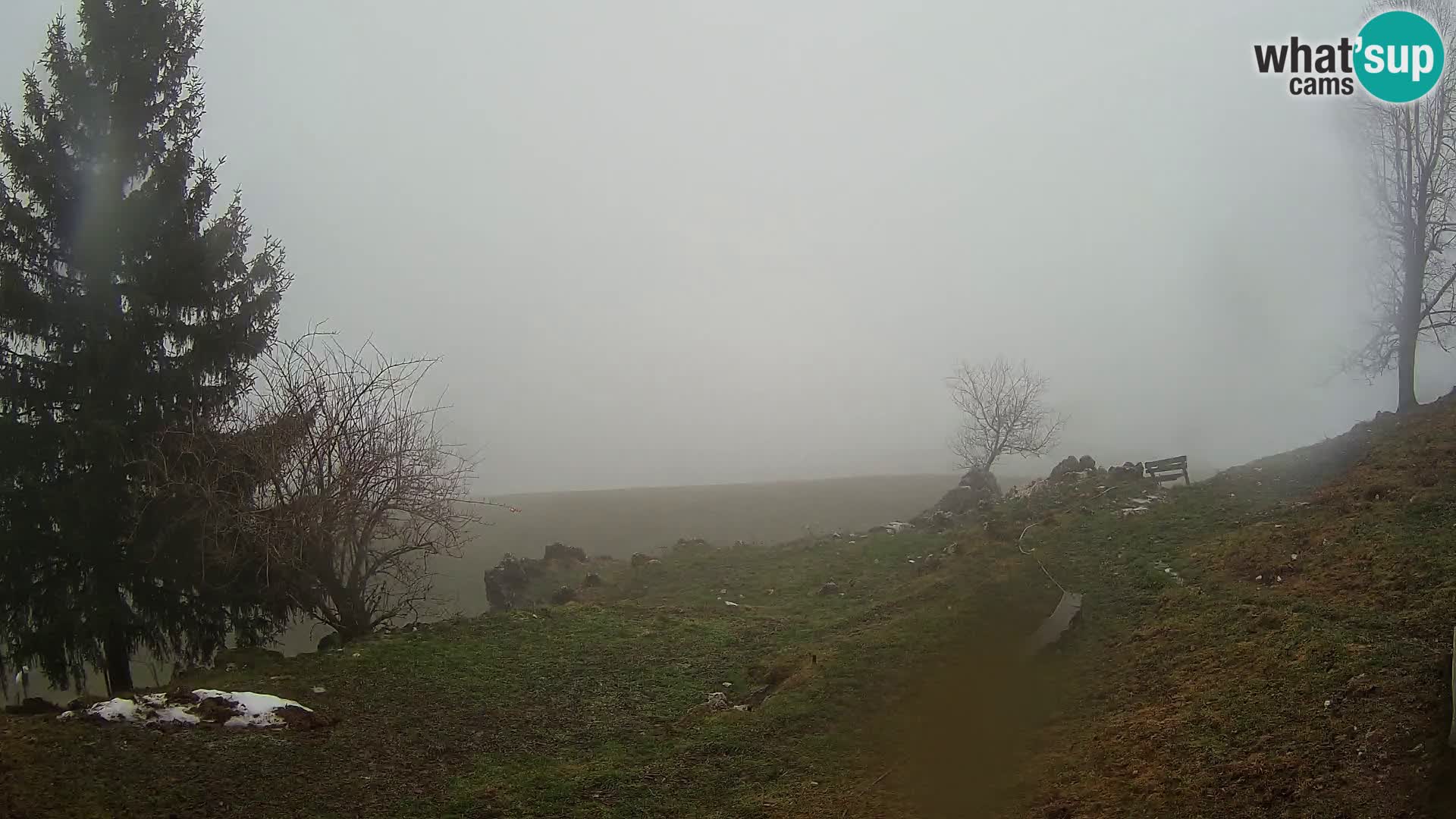 Slajka webcam | Gorenja Vas | Slowenien