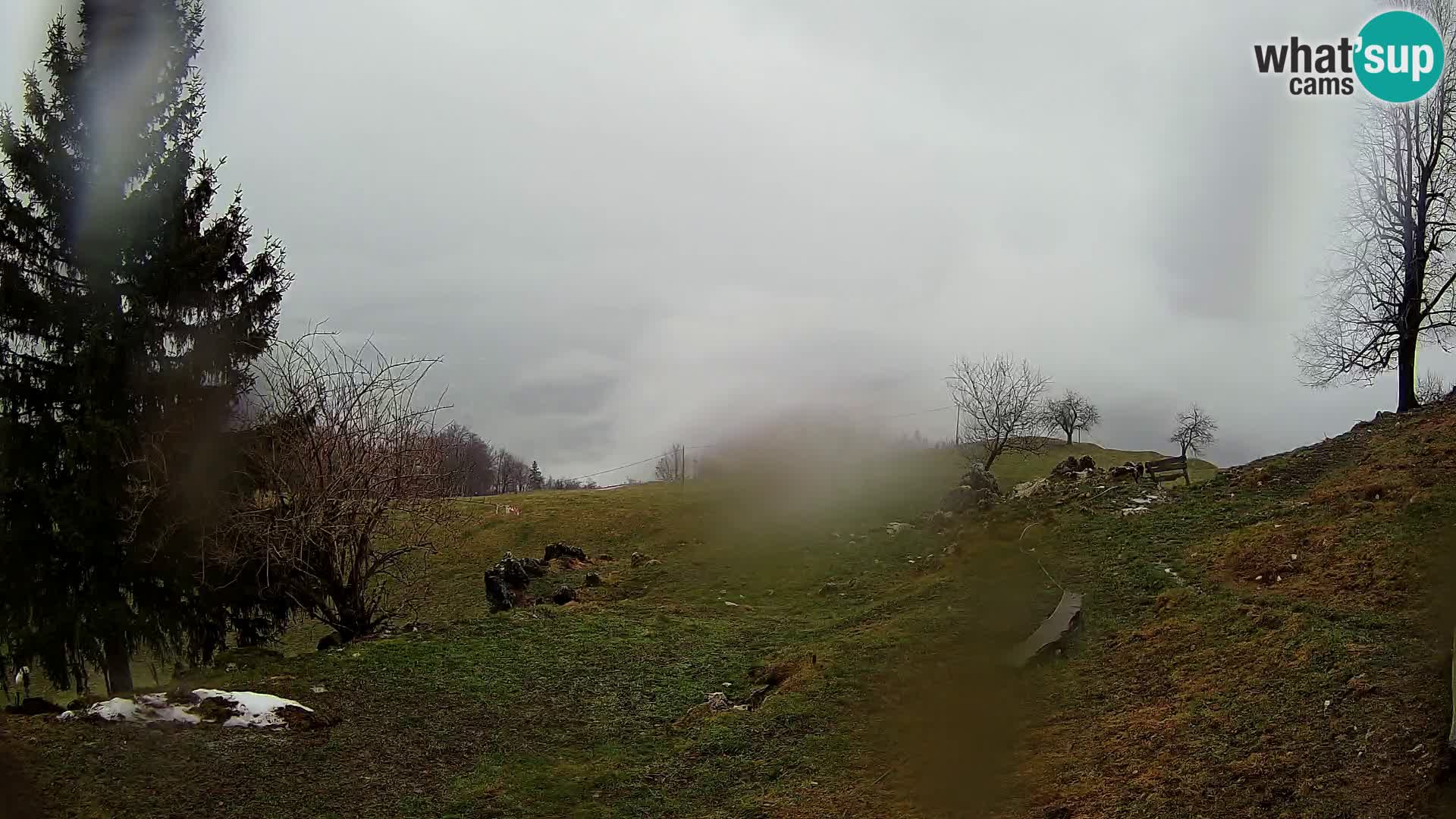 Slajka livecam | Gorenja Vas | Slovénie