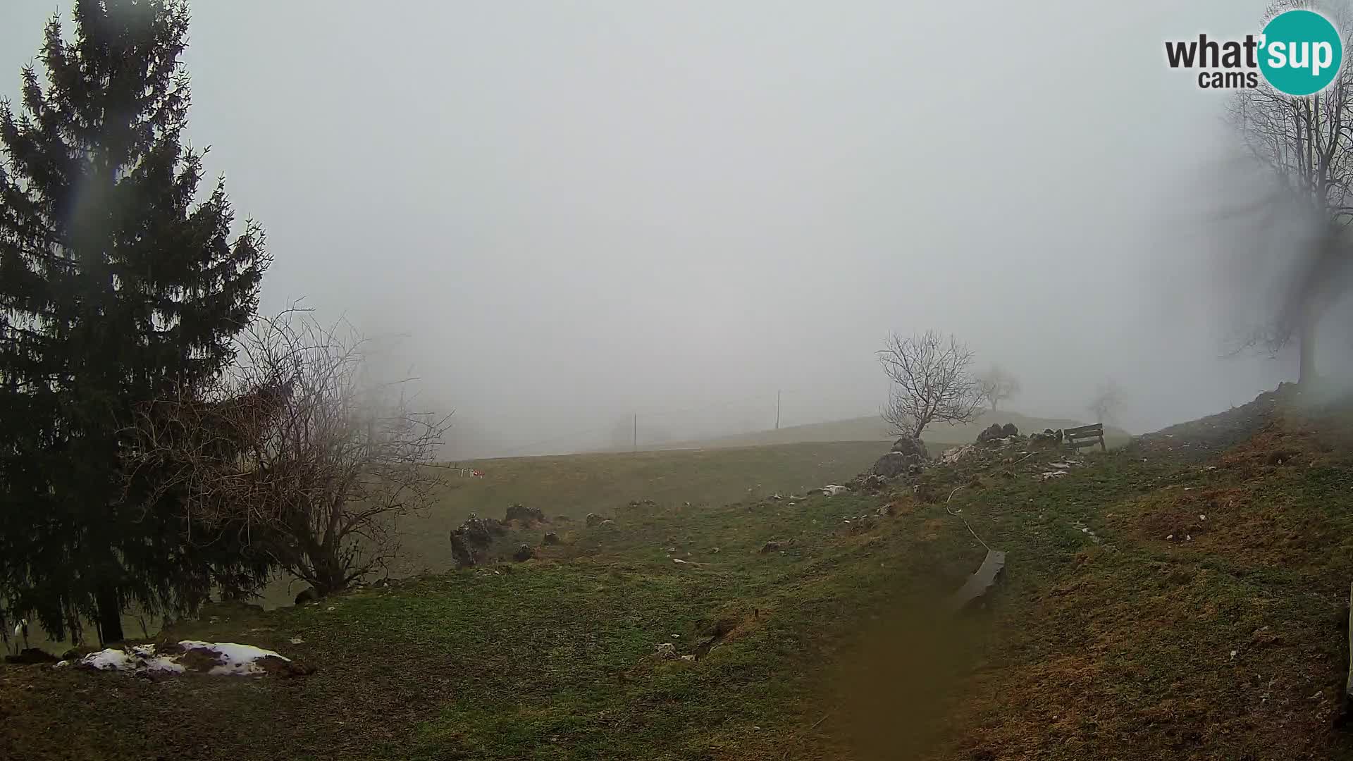 Slajka camera en vivo | Gorenja Vas | Eslovenia