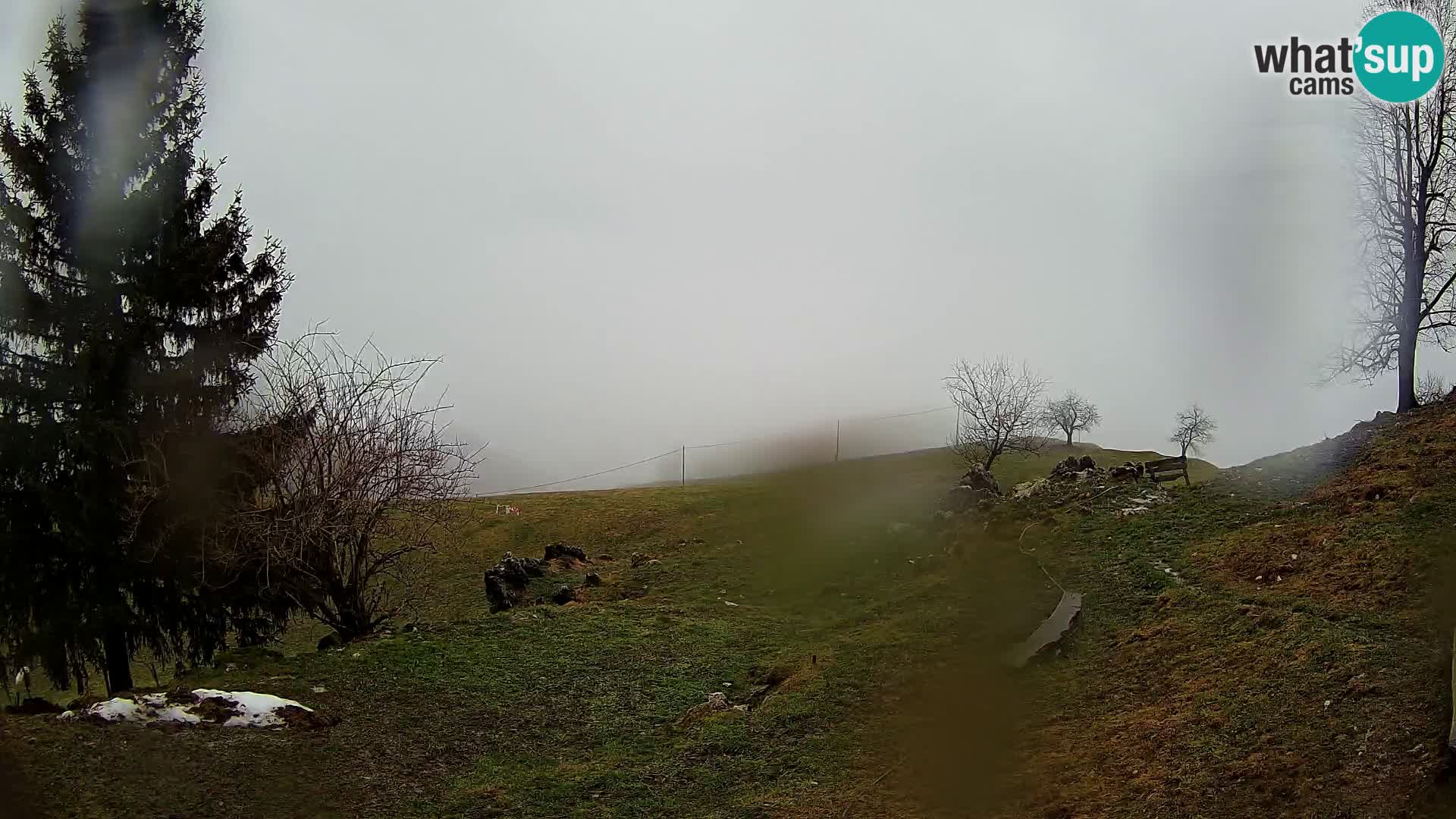 Slajka webam | Gorenja vas | Slovenia