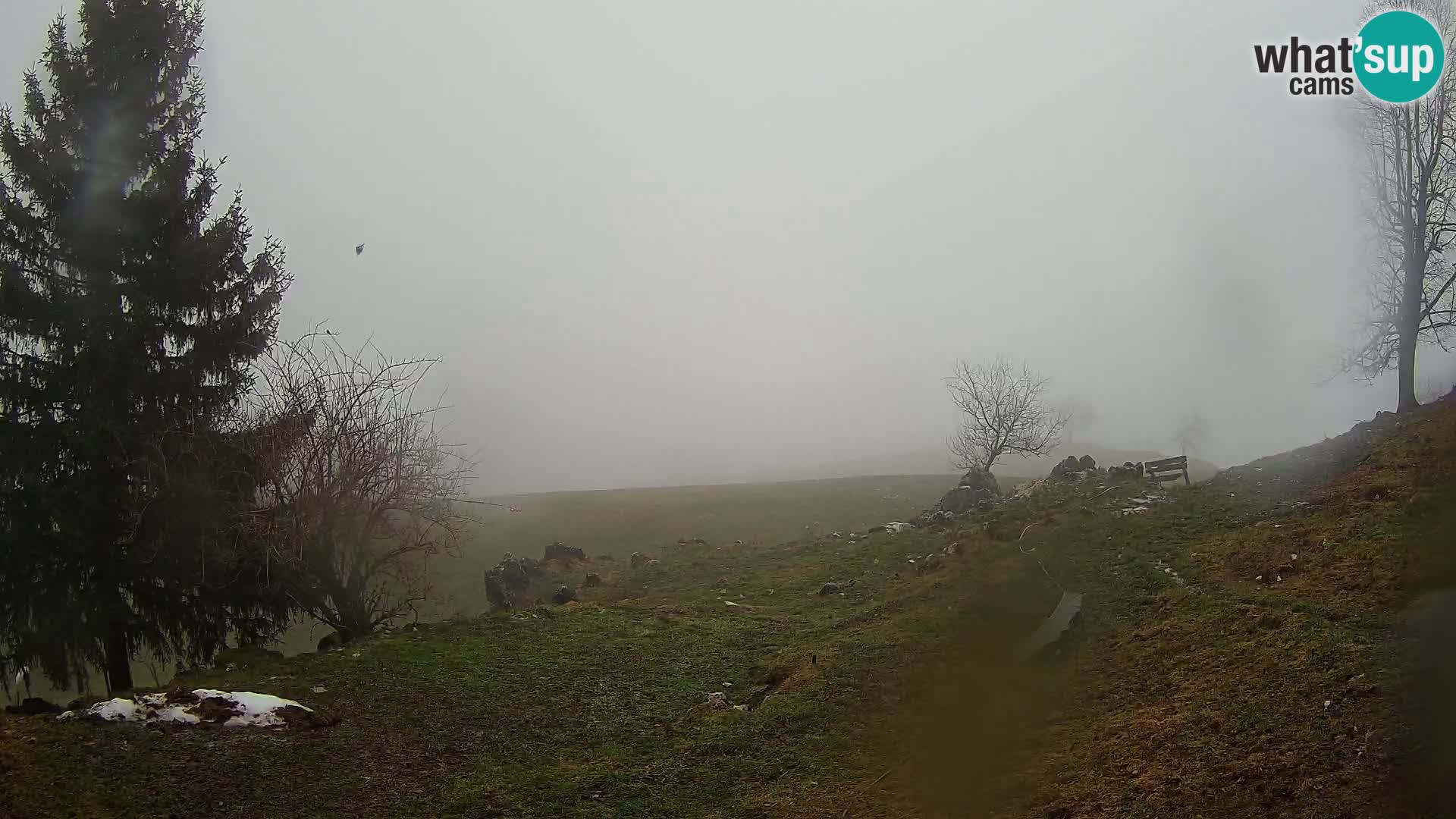 Slajka webam | Gorenja vas | Slovenia