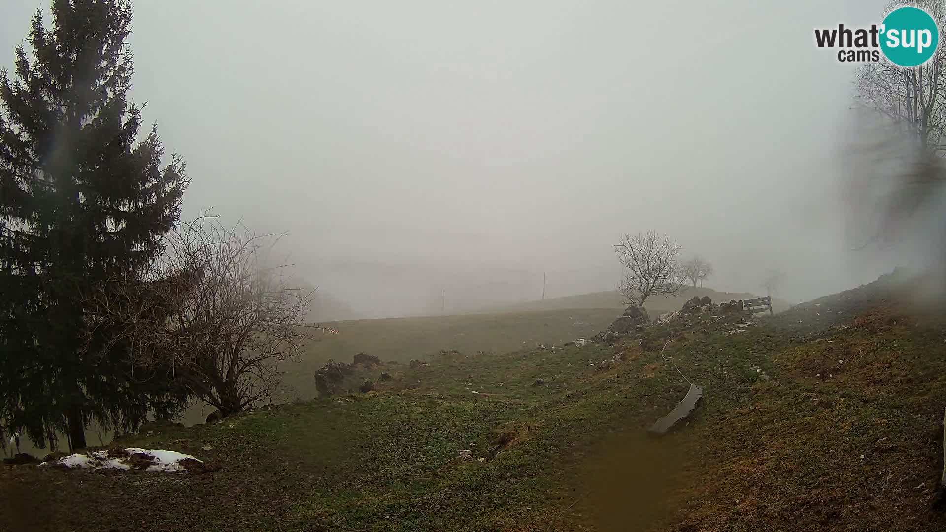 Slajka webam | Gorenja vas | Slovenia