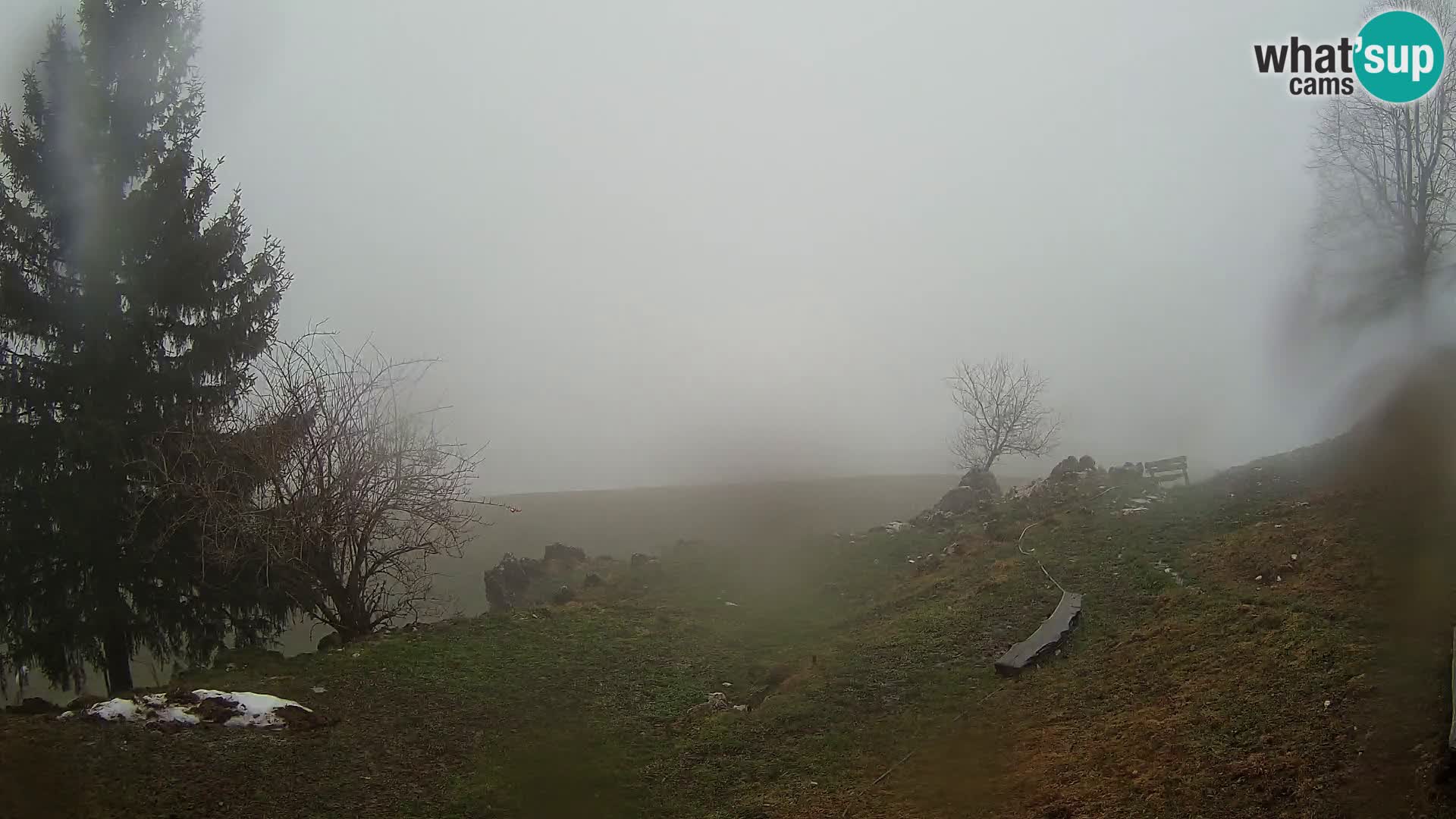 Slajka webam | Gorenja vas | Slovenia