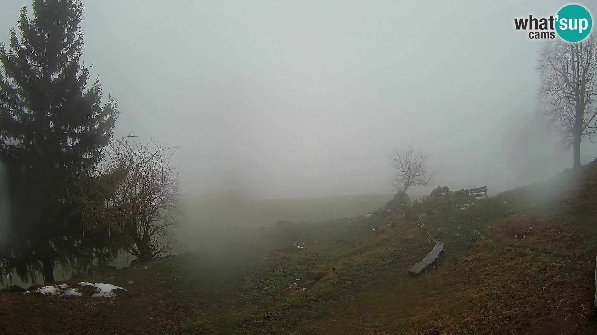 Slajka webcam | Gorenja Vas | Slowenien