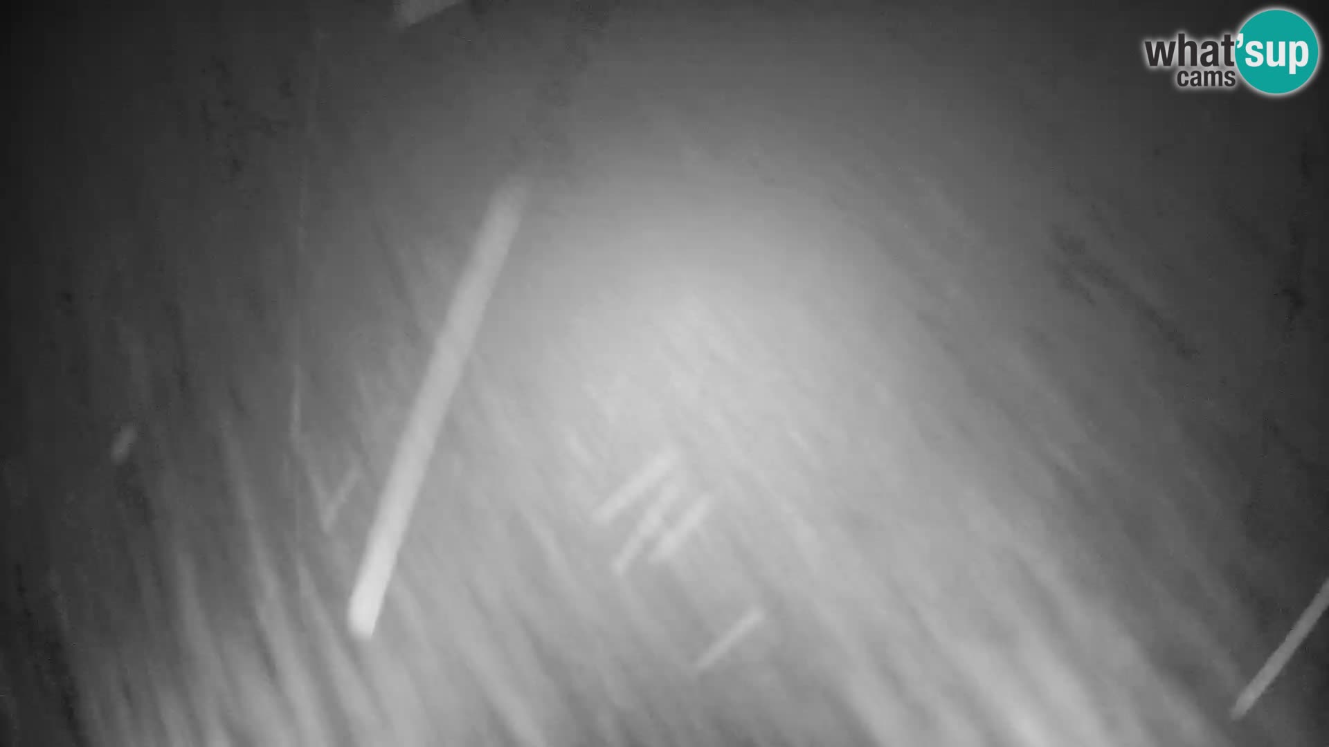 Slajka webcam | Gorenja Vas | Slowenien