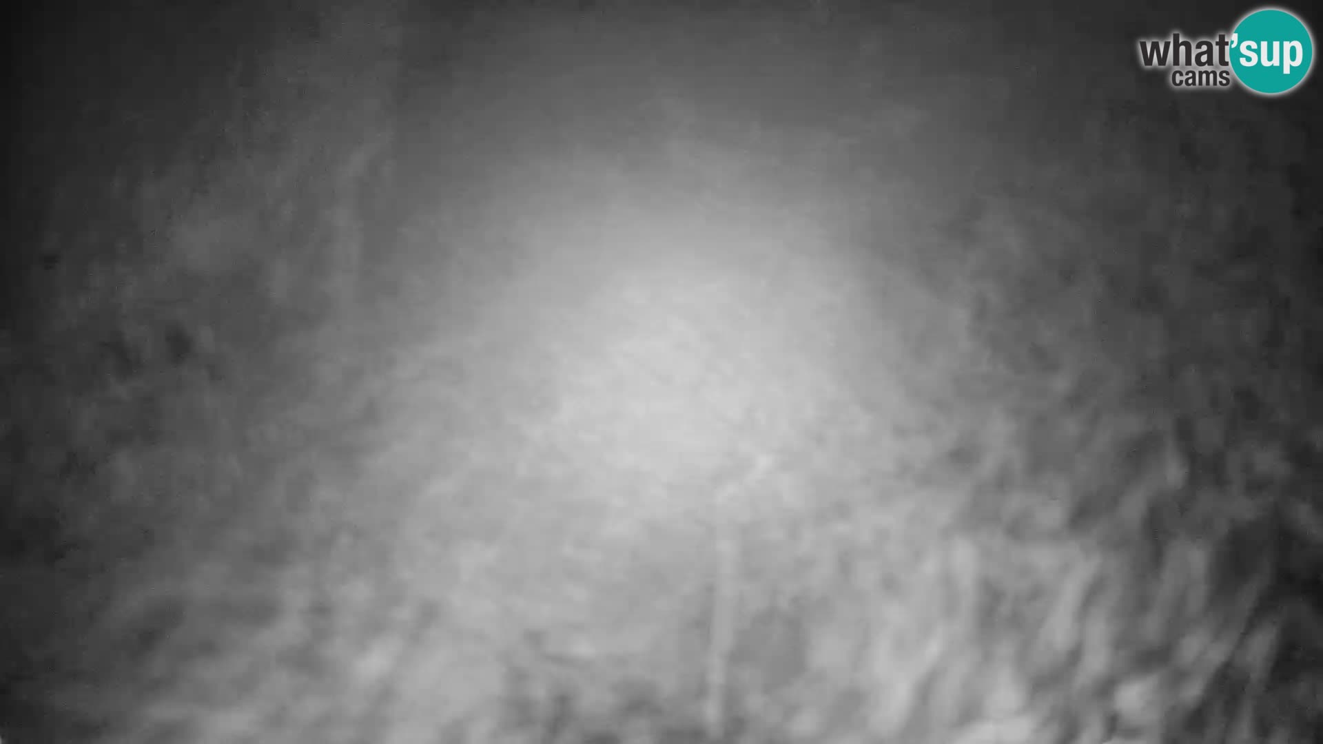 Slajka camera en vivo | Gorenja Vas | Eslovenia