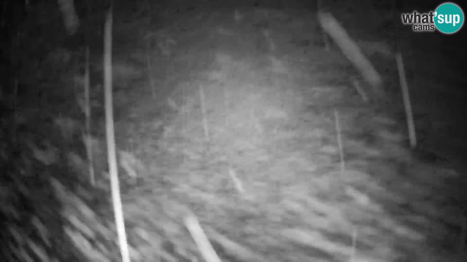 Webcam Slajka | Gorenja vas | Slovenia