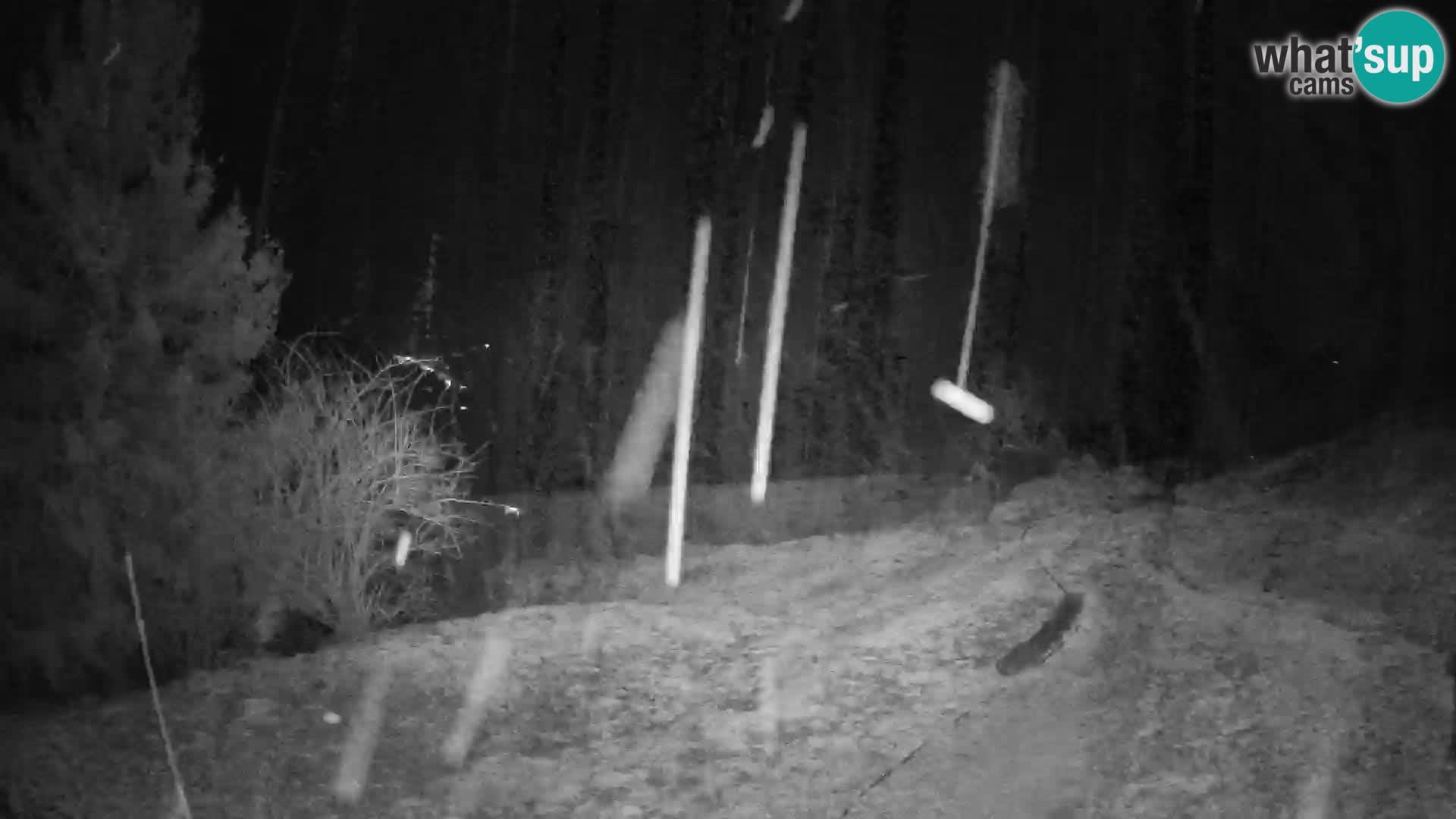 Slajka webcam | Gorenja Vas | Slowenien