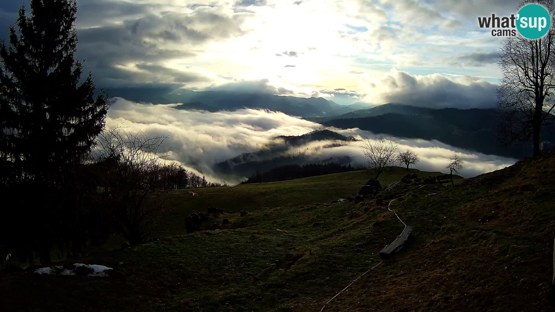 Slajka webcam | Gorenja Vas | Slowenien