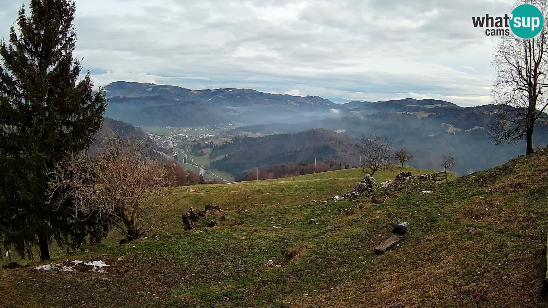 Slajka livecam | Gorenja Vas | Slovénie