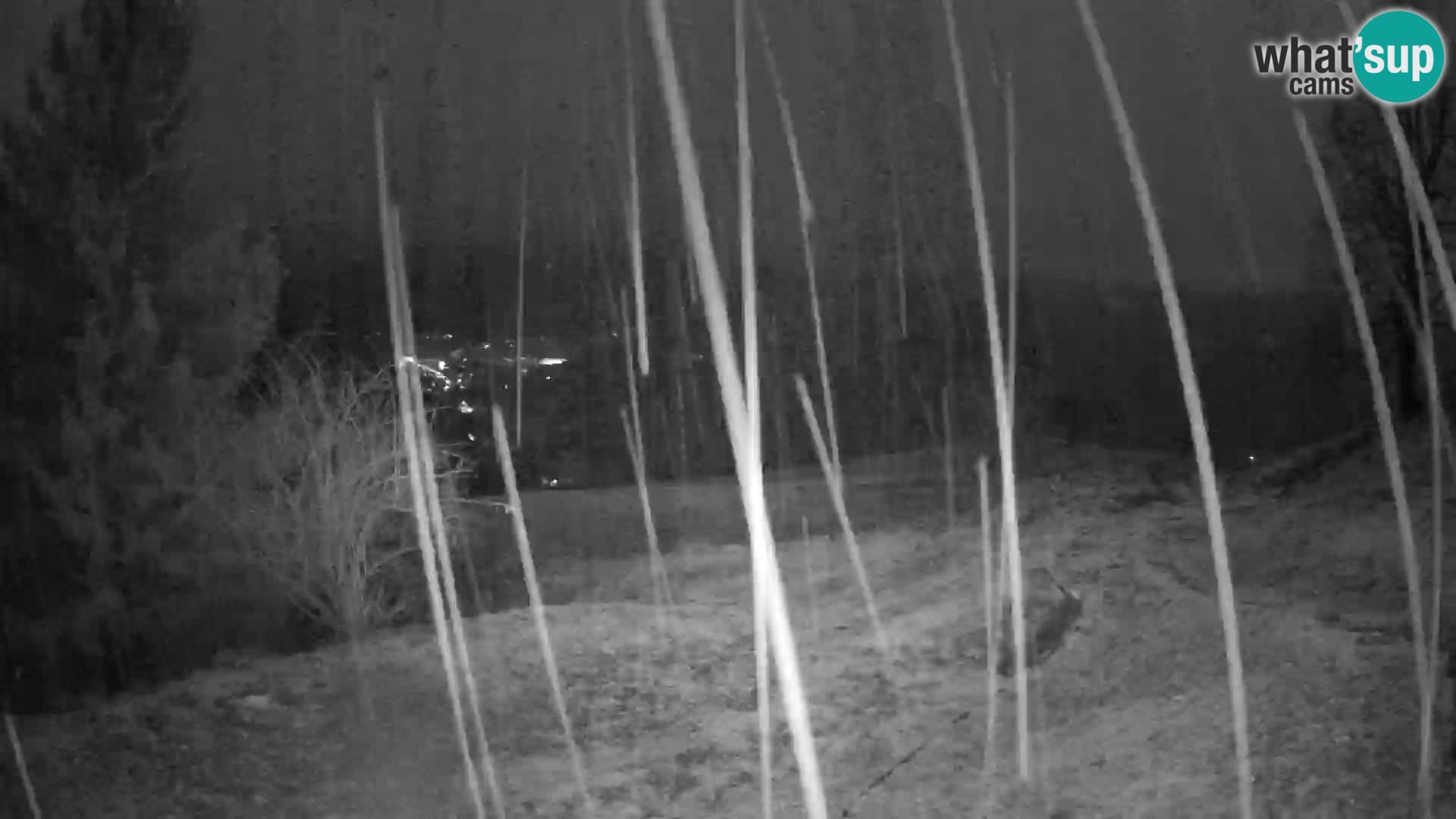 Slajka livecam | Gorenja Vas | Slovénie