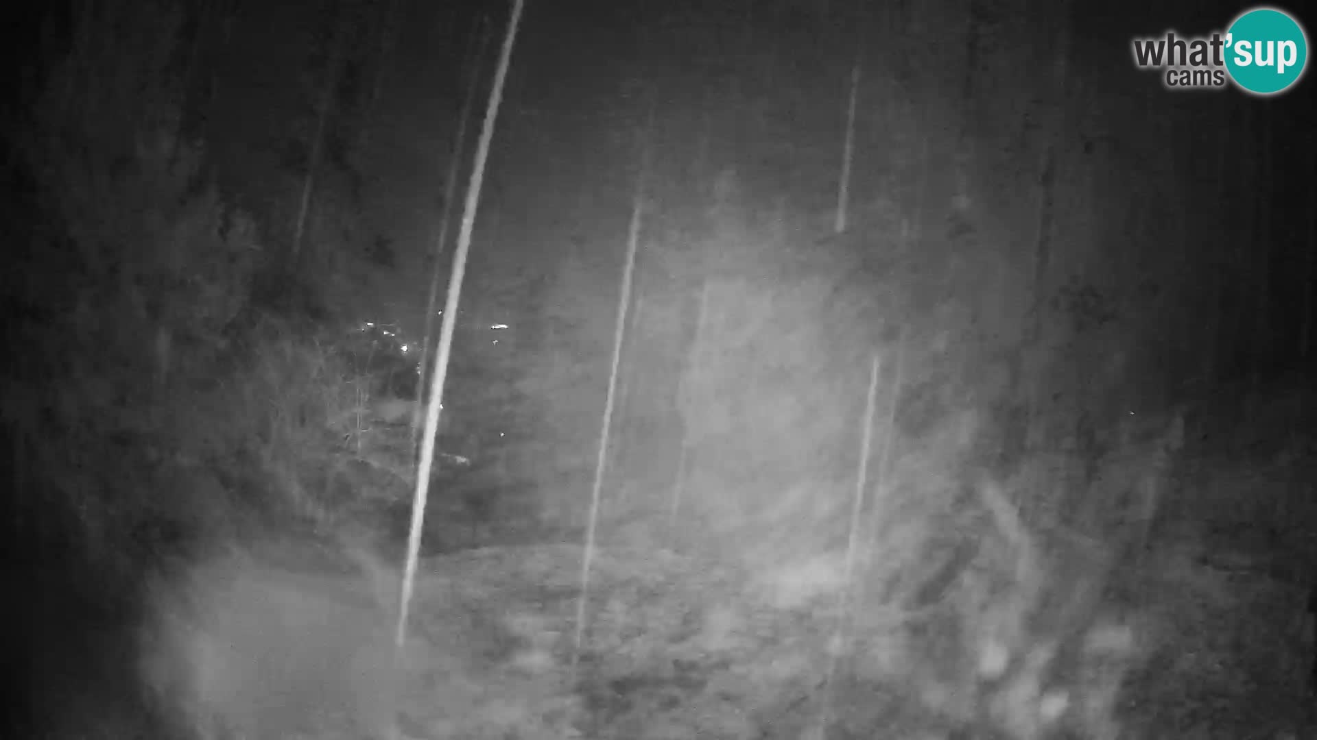 Slajka livecam | Gorenja Vas | Slovénie