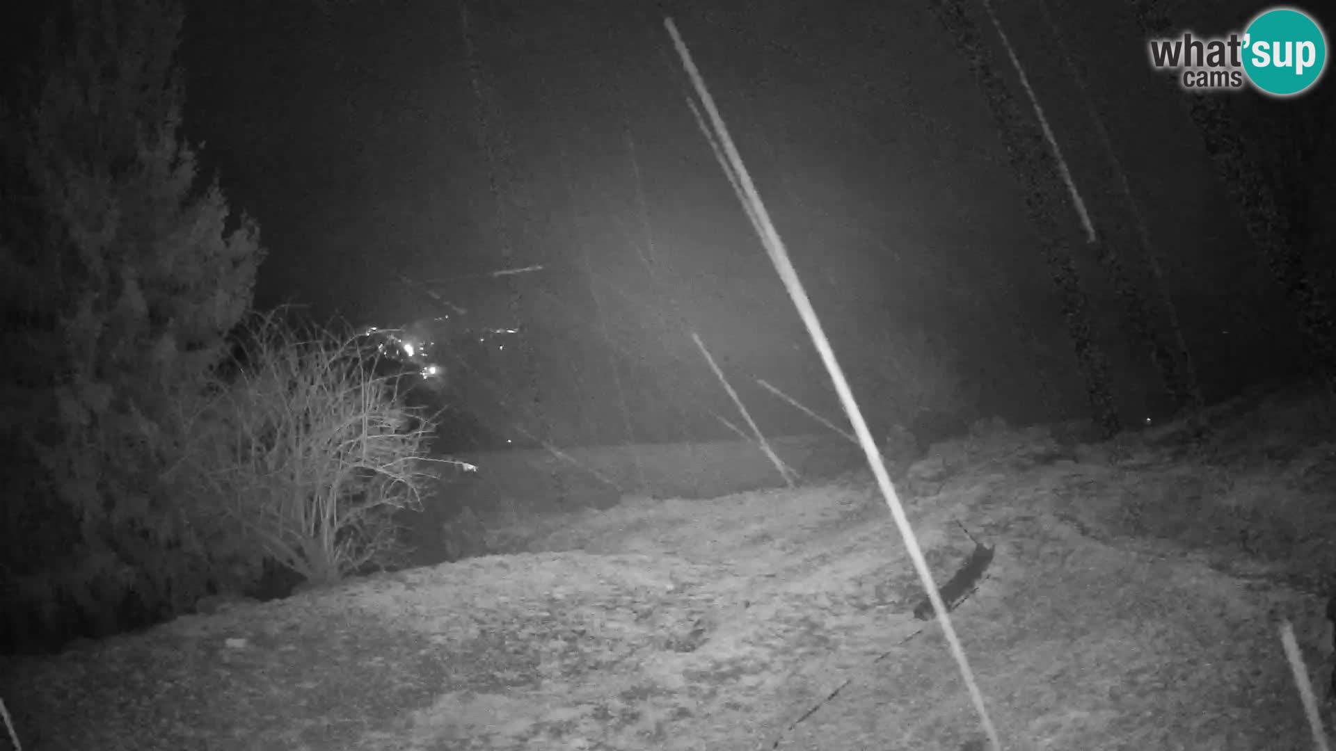 Slajka livecam | Gorenja Vas | Slovénie