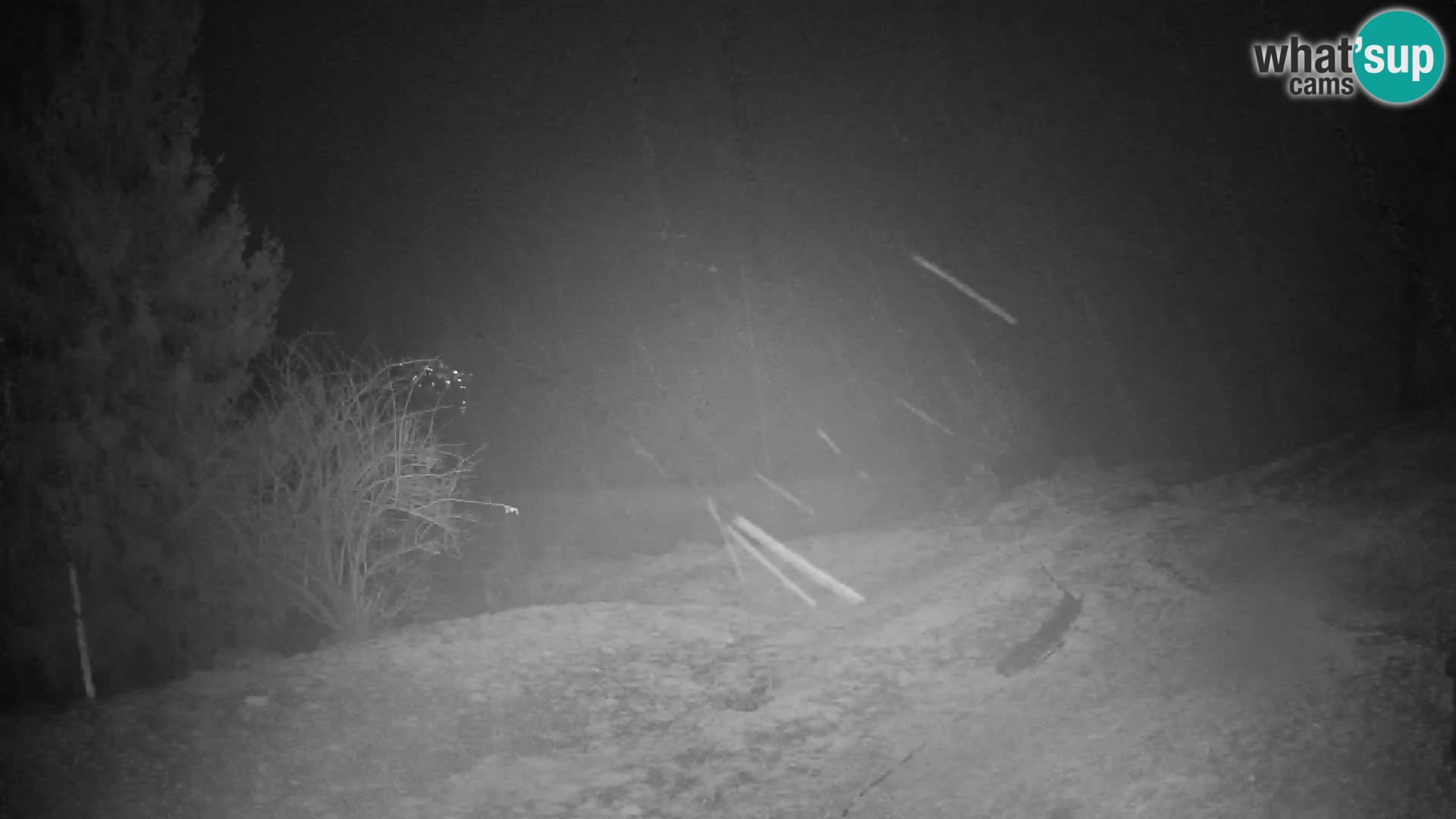 Slajka webam | Gorenja vas | Slovenia