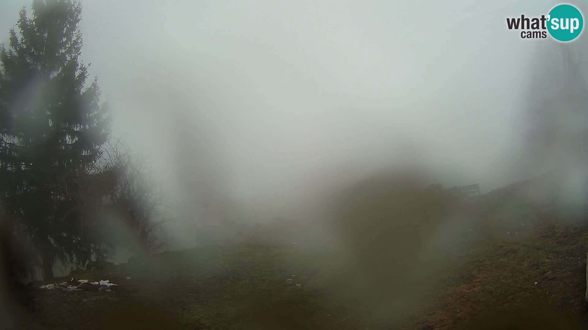 Slajka webam | Gorenja vas | Slovenia