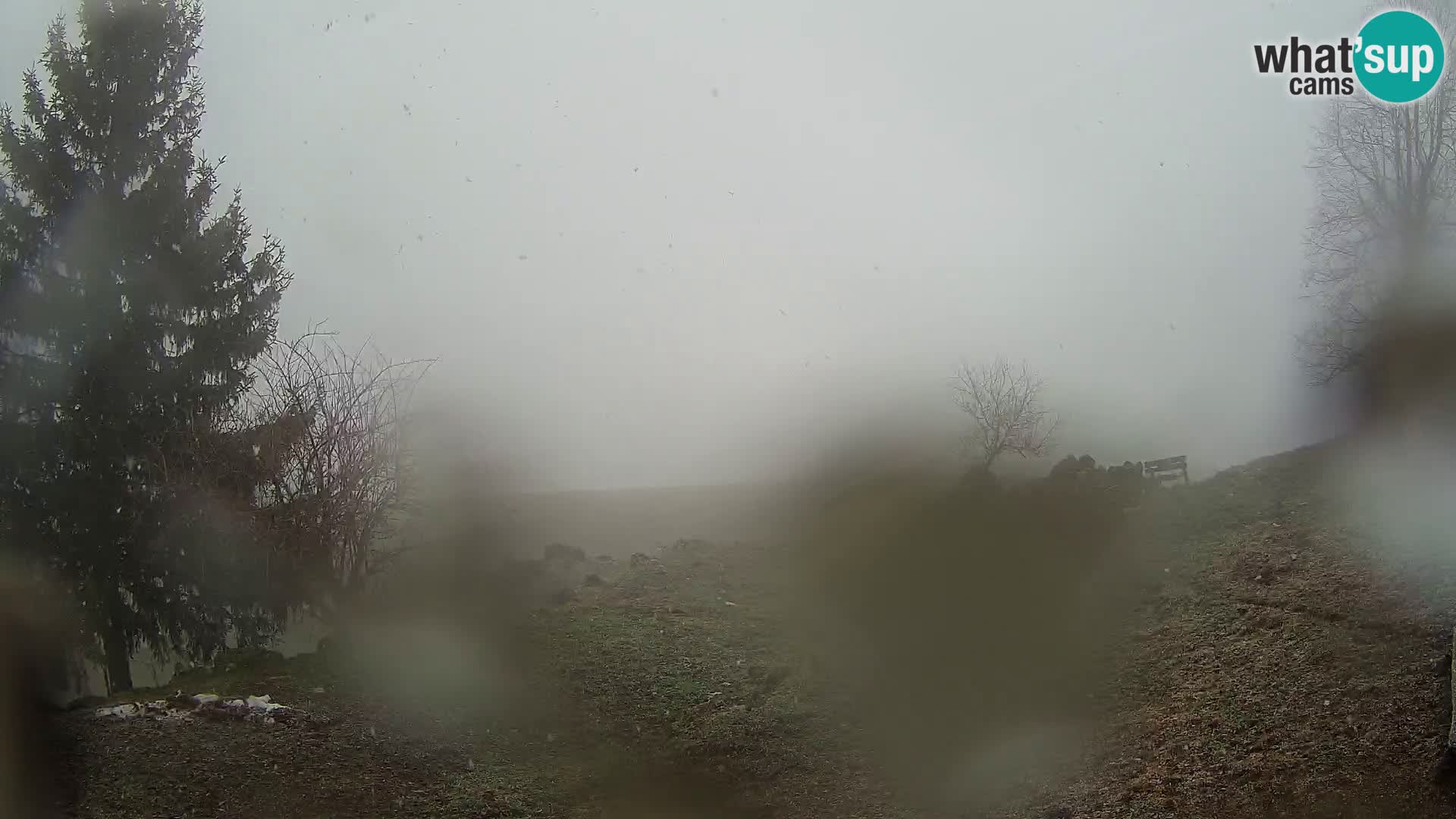 Slajka camera en vivo | Gorenja Vas | Eslovenia