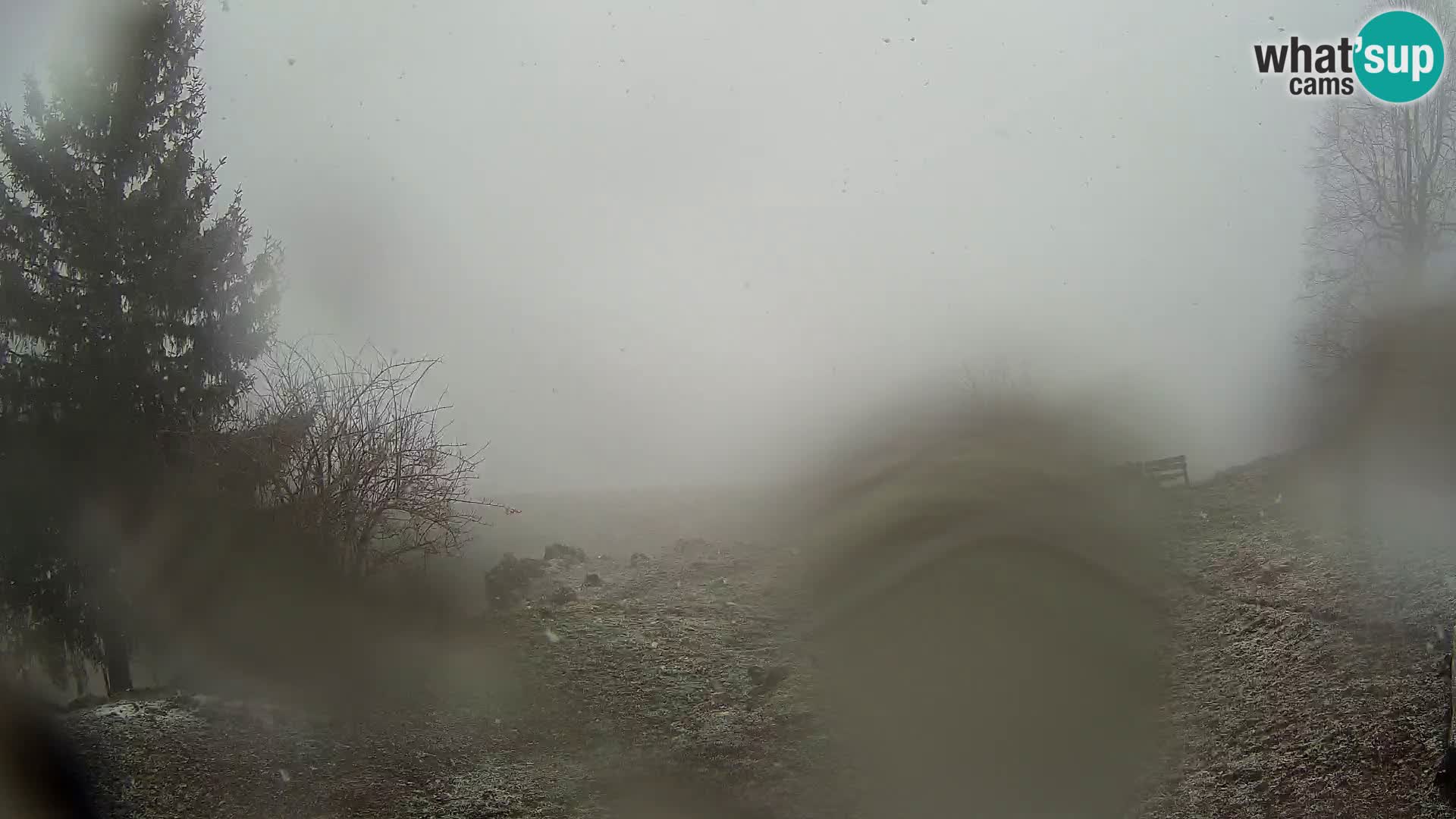 Slajka webam | Gorenja vas | Slovenia