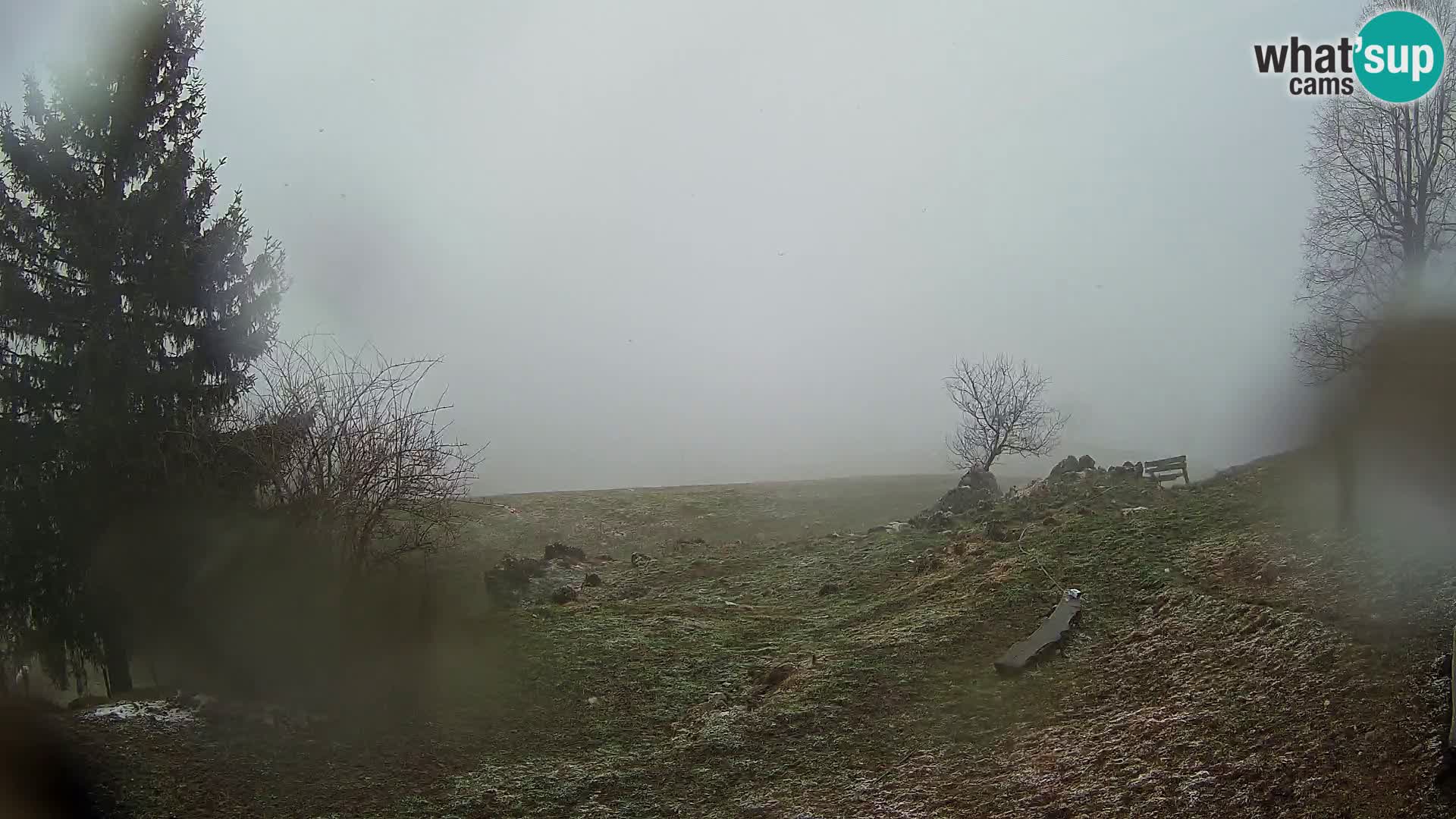 Slajka webcam | Gorenja Vas | Slowenien