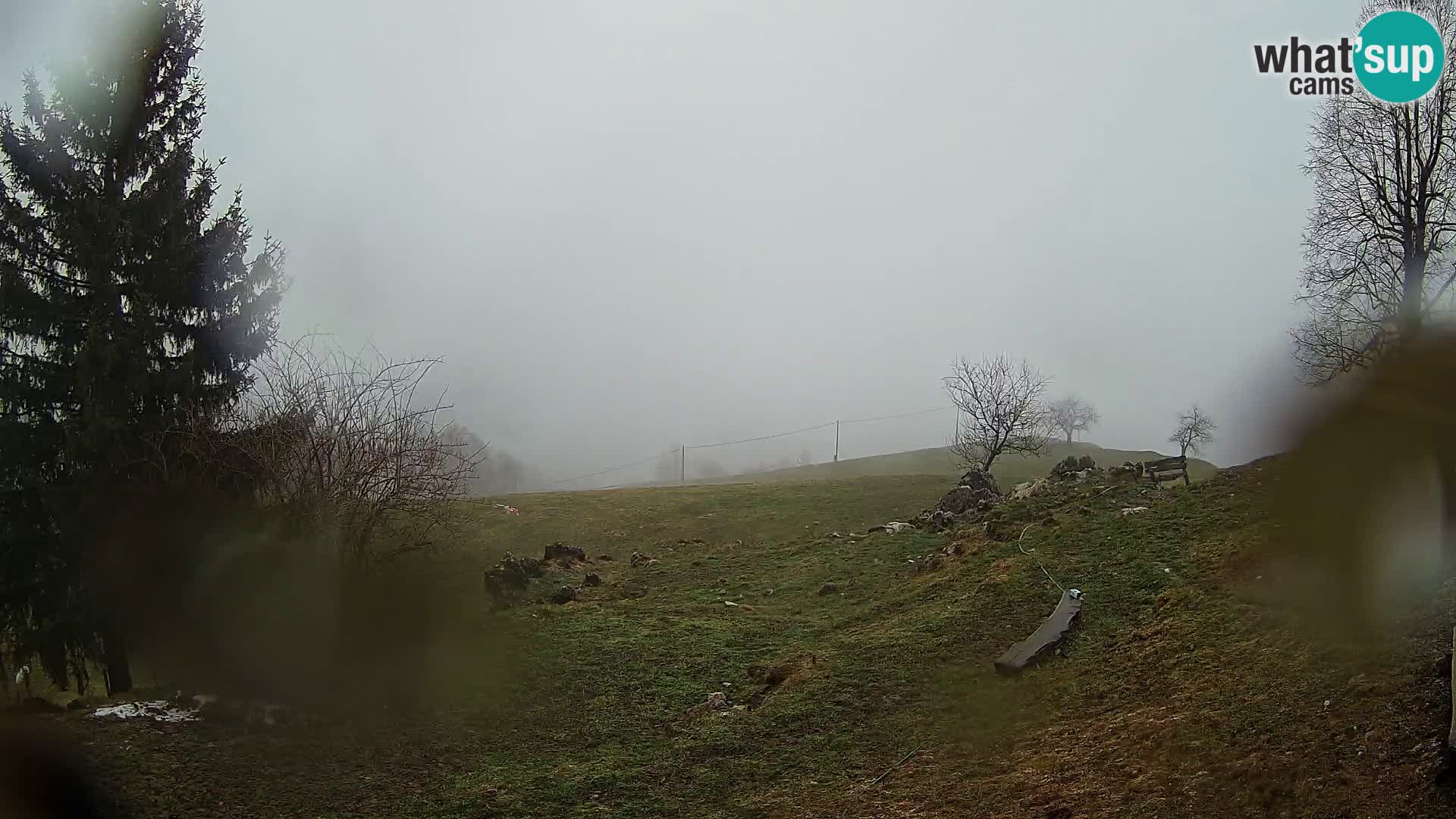 Slajka camera en vivo | Gorenja Vas | Eslovenia