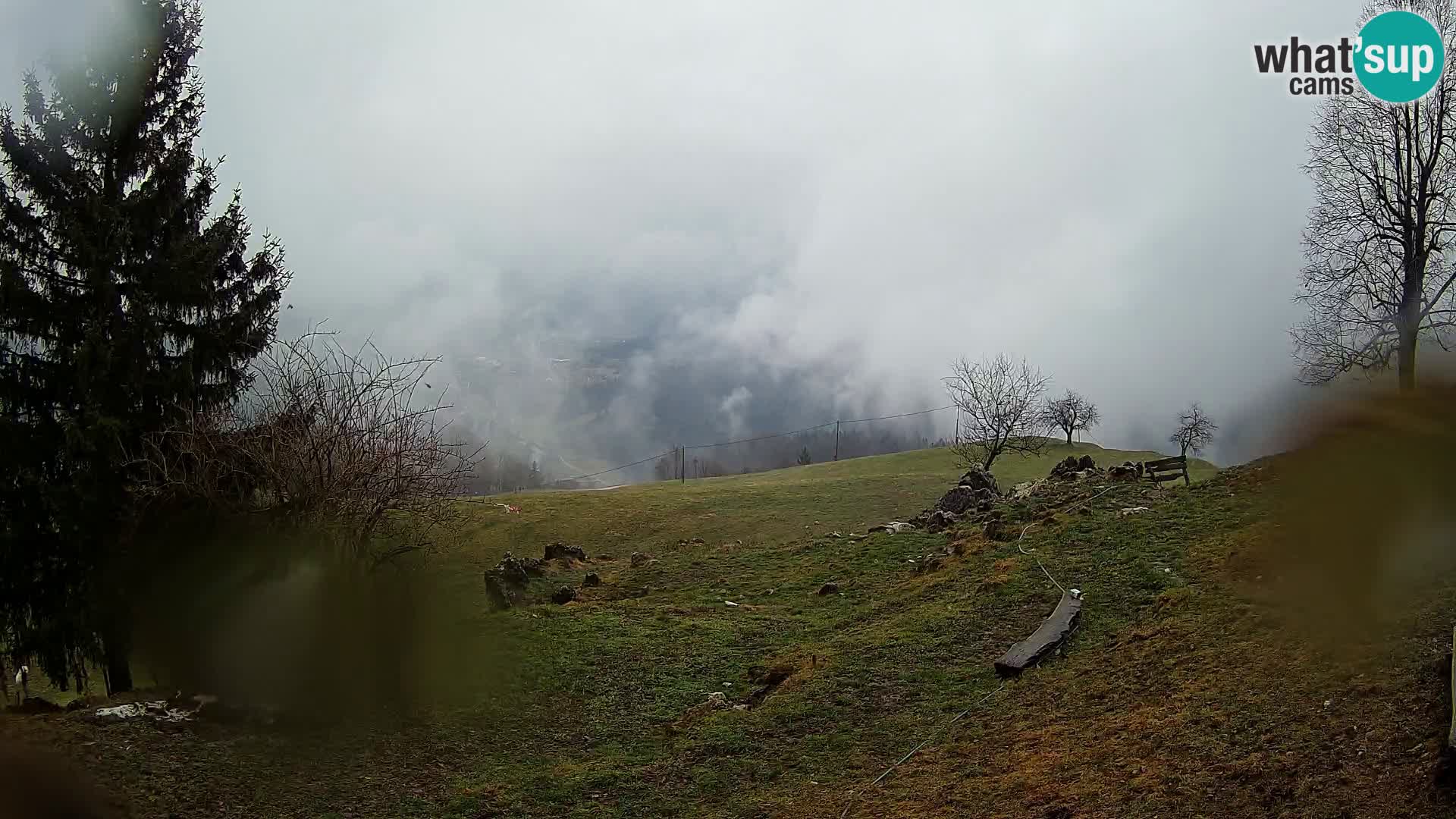 Slajka webam | Gorenja vas | Slovenia