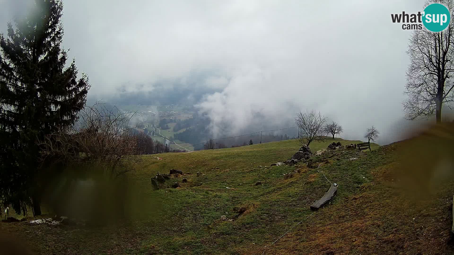 Slajka camera en vivo | Gorenja Vas | Eslovenia