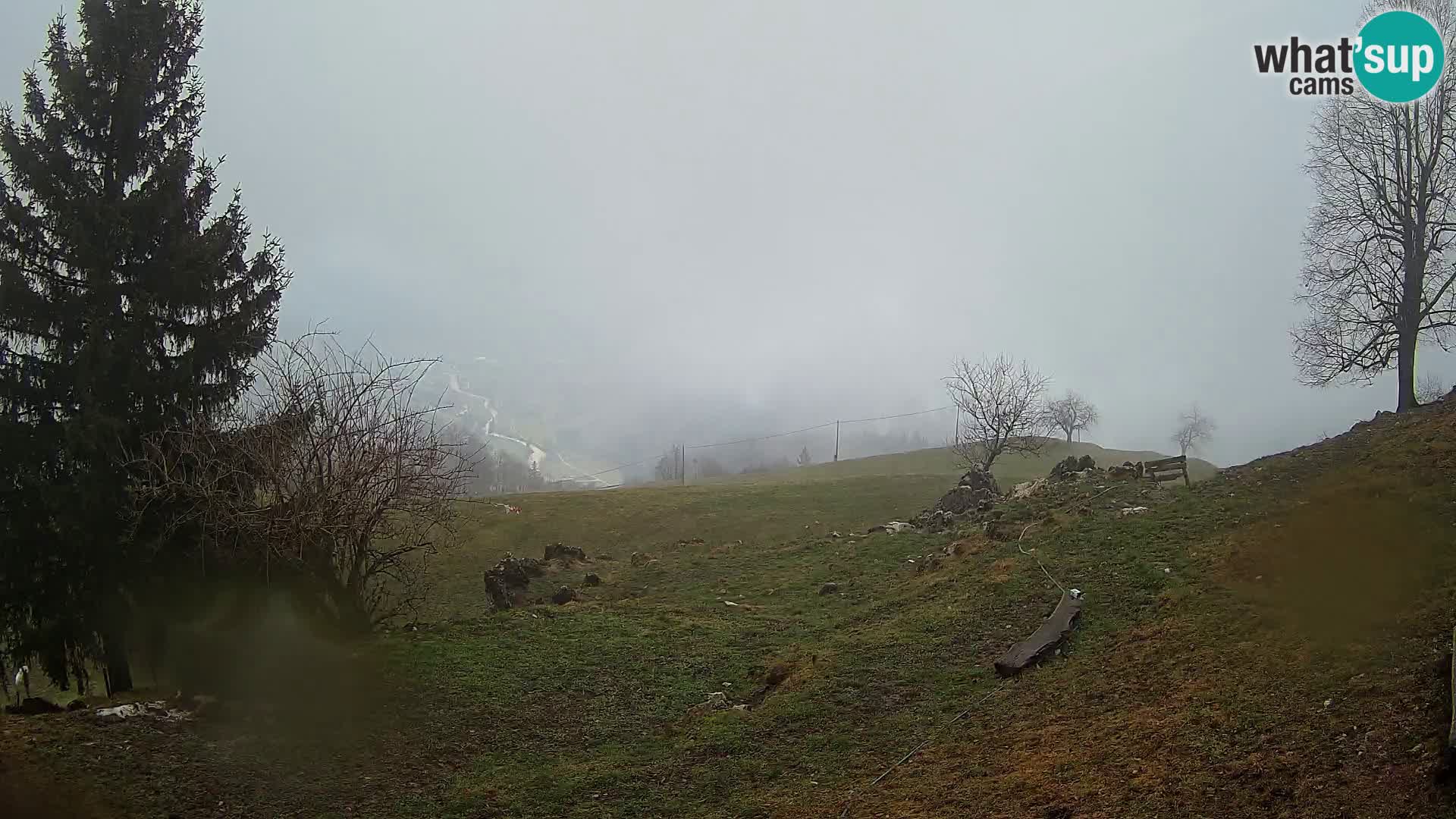 Slajka camera en vivo | Gorenja Vas | Eslovenia