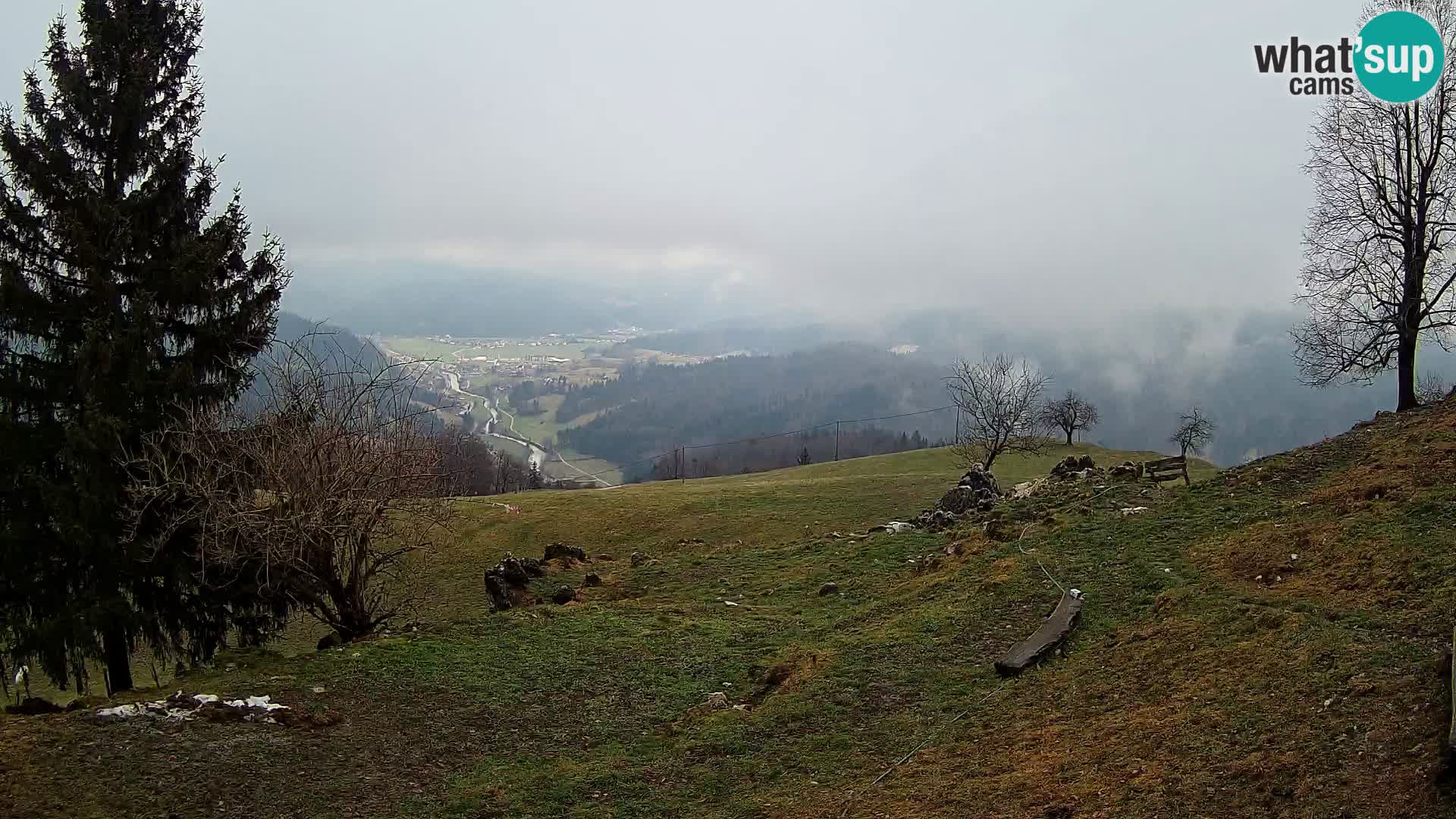 Slajka camera en vivo | Gorenja Vas | Eslovenia