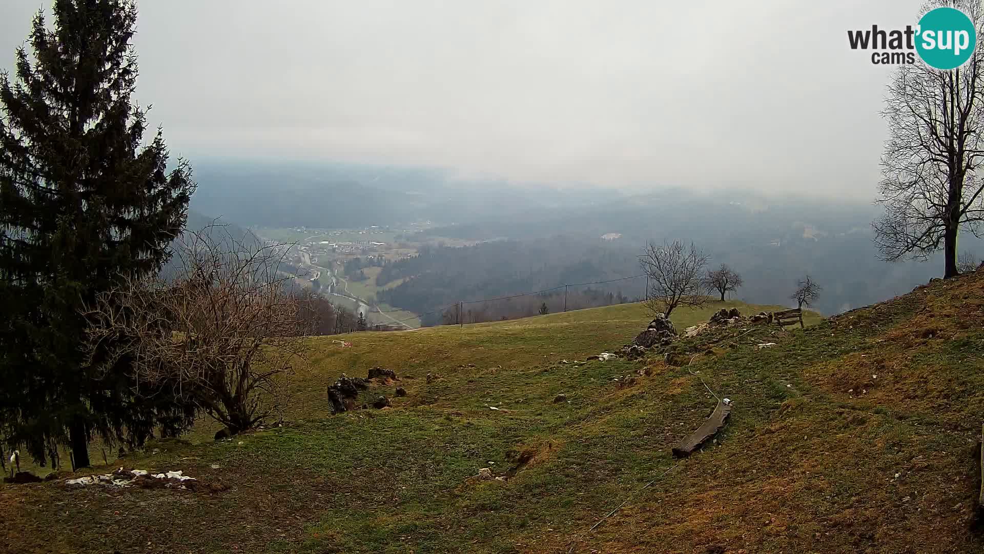 Slajka webam | Gorenja vas | Slovenia