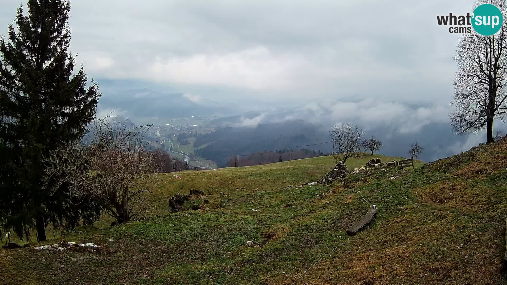 Slajka camera en vivo | Gorenja Vas | Eslovenia