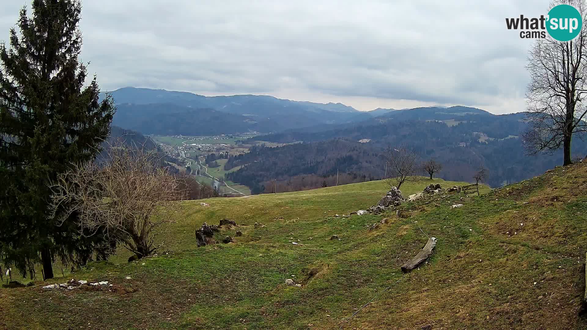 Slajka livecam | Gorenja Vas | Slovénie