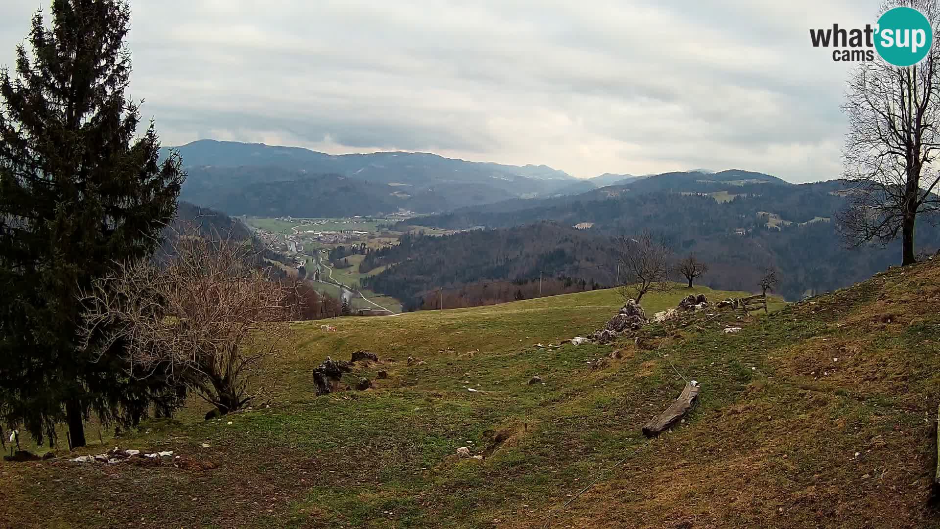 Spletna kamera Slajka | Gorenja vas