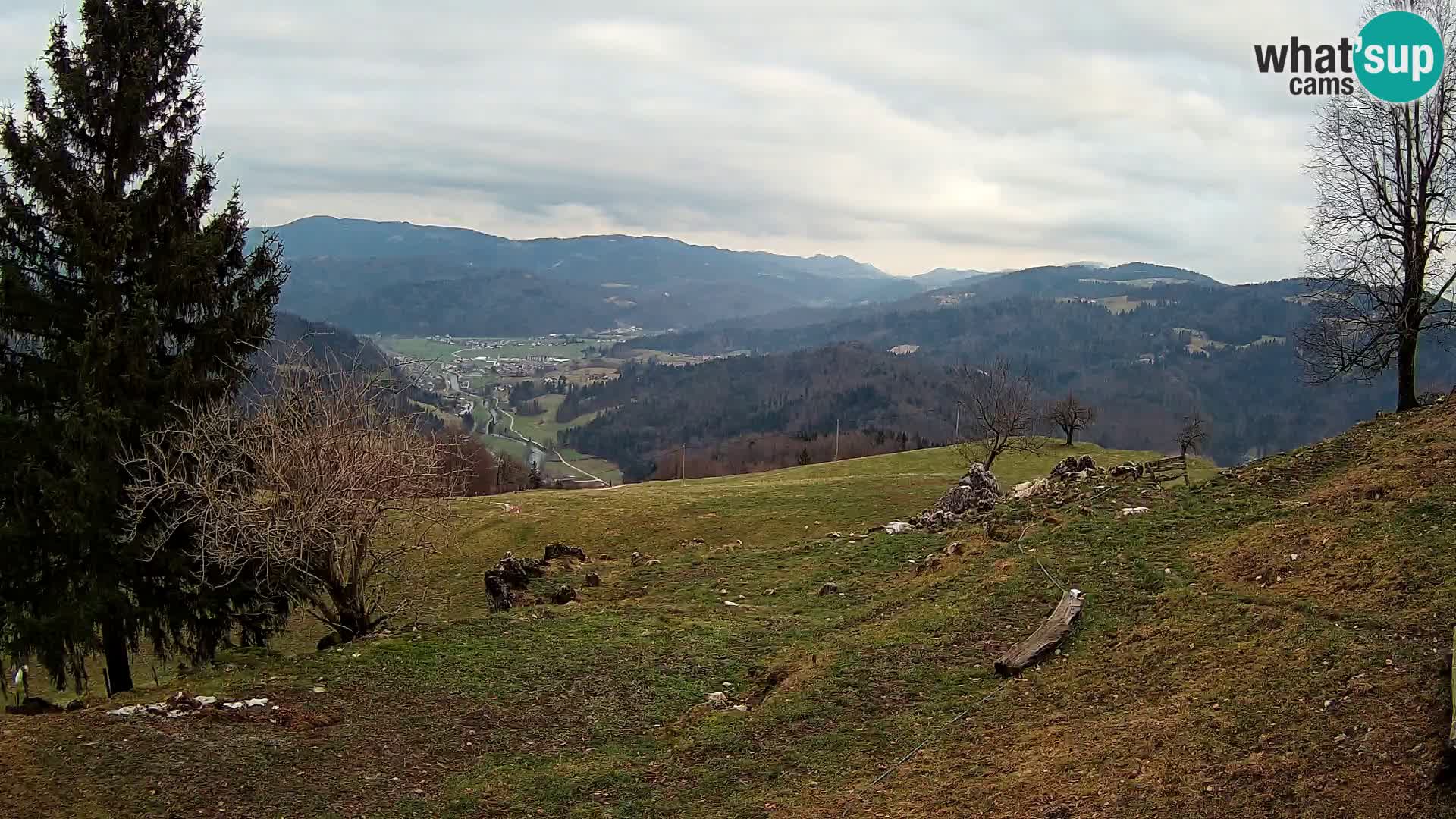 Slajka livecam | Gorenja Vas | Slovénie