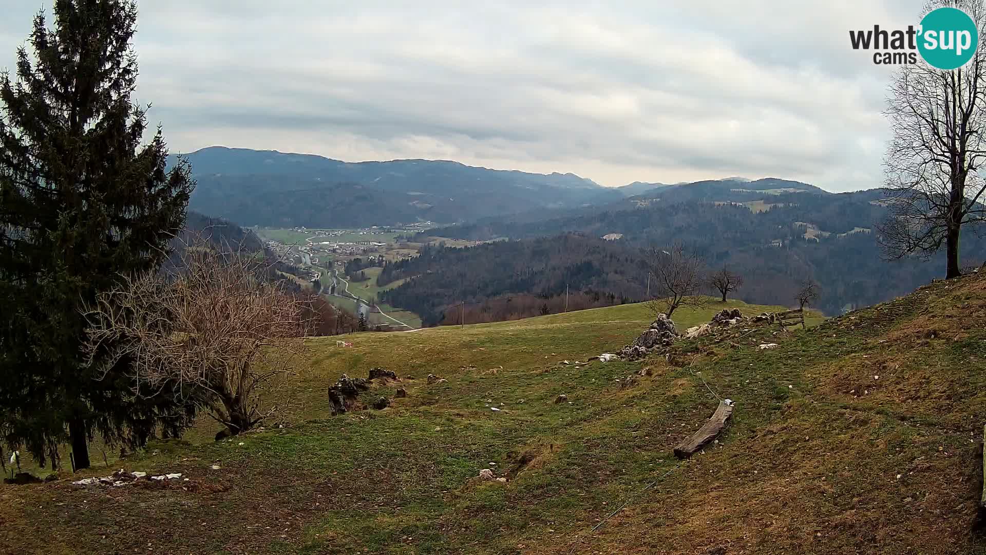 Slajka livecam | Gorenja Vas | Slovénie