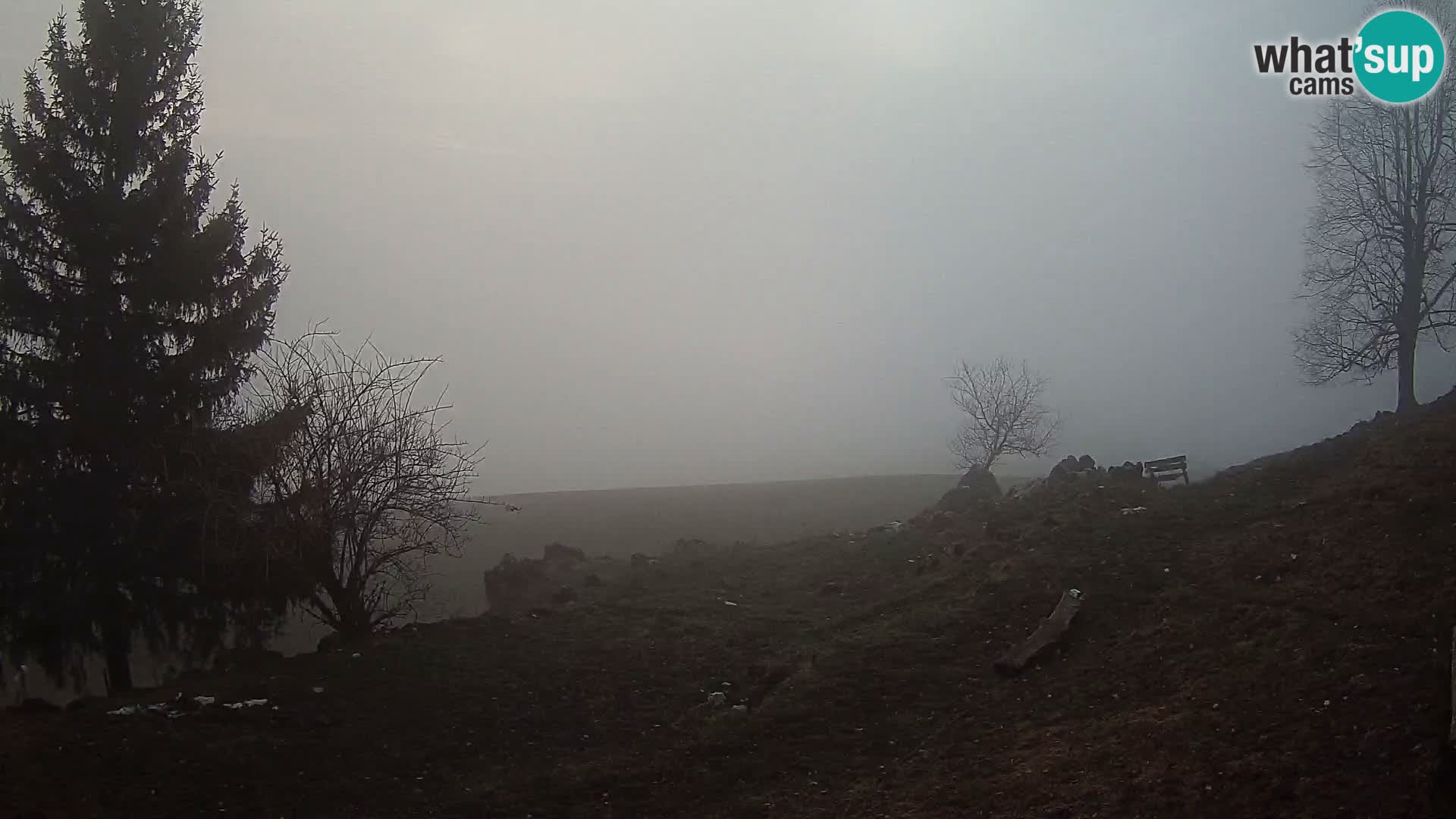 Slajka webam | Gorenja vas | Slovenia