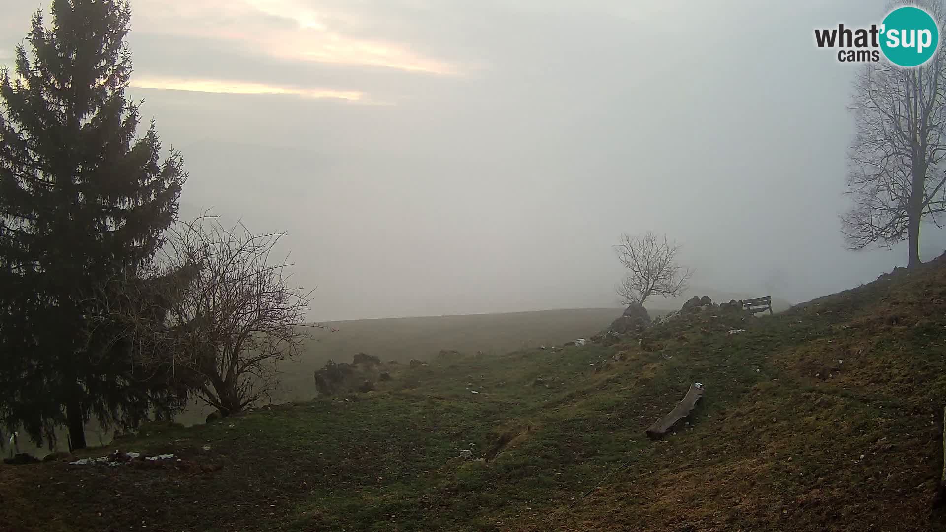 Slajka camera en vivo | Gorenja Vas | Eslovenia