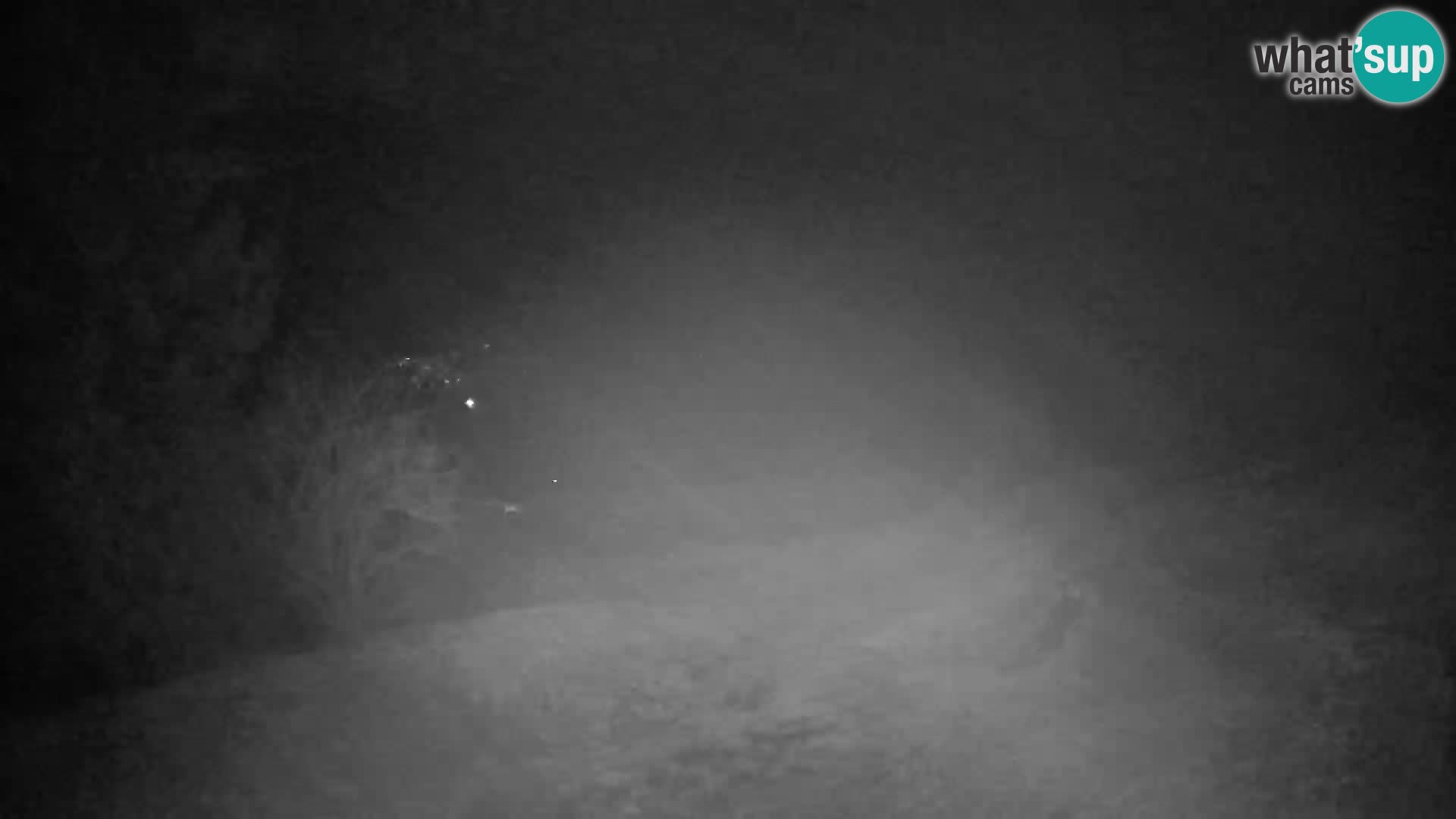 Slajka webam | Gorenja vas | Slovenia