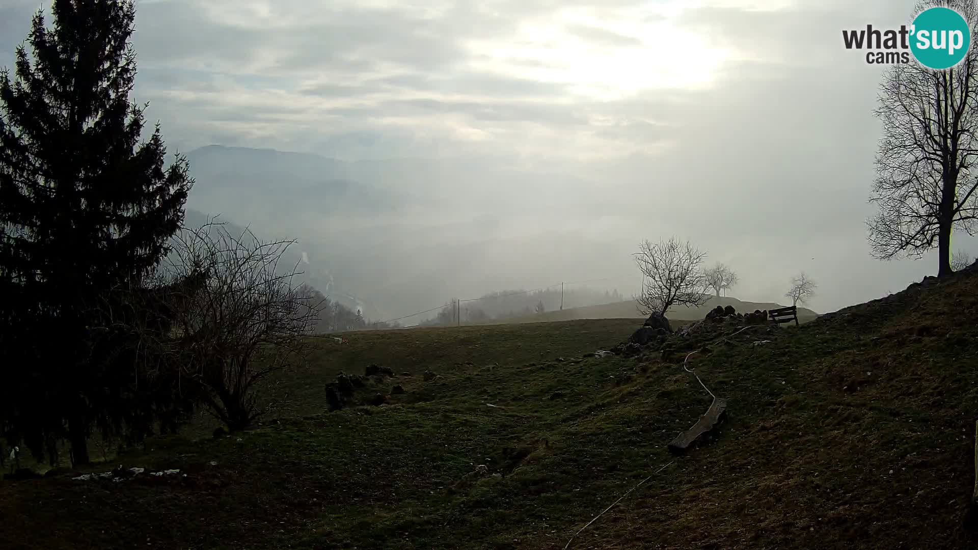 Slajka livecam | Gorenja Vas | Slovénie