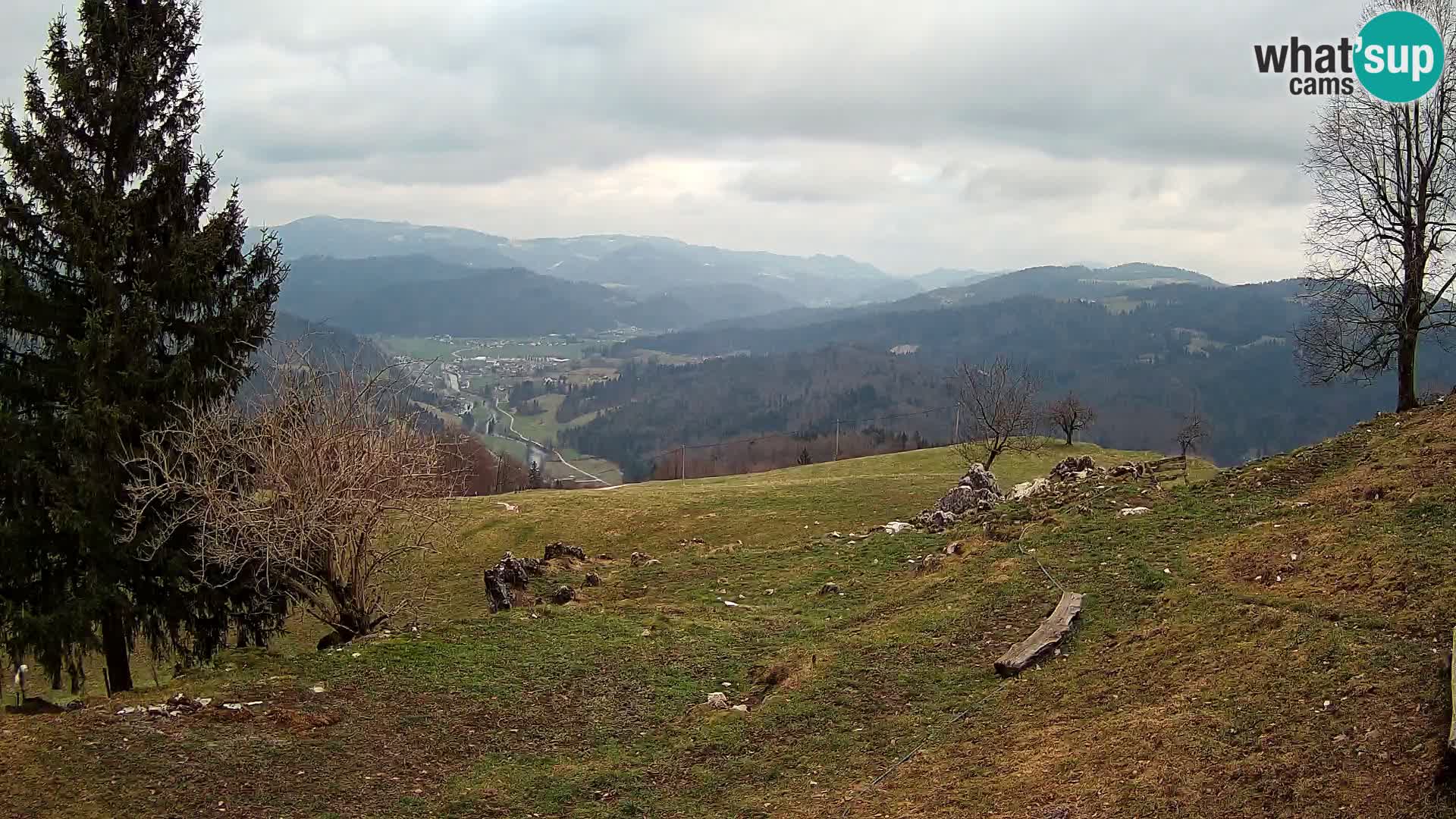 Slajka camera en vivo | Gorenja Vas | Eslovenia