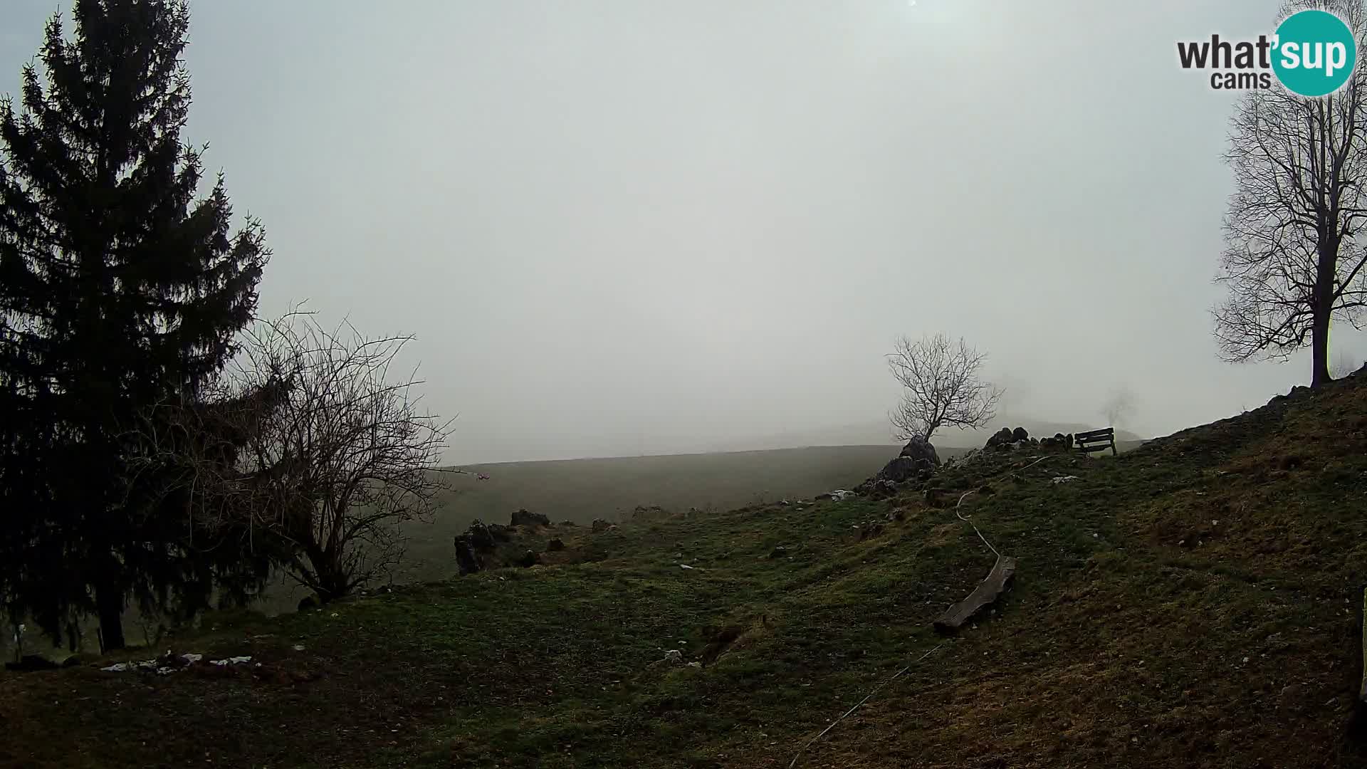 Slajka camera en vivo | Gorenja Vas | Eslovenia