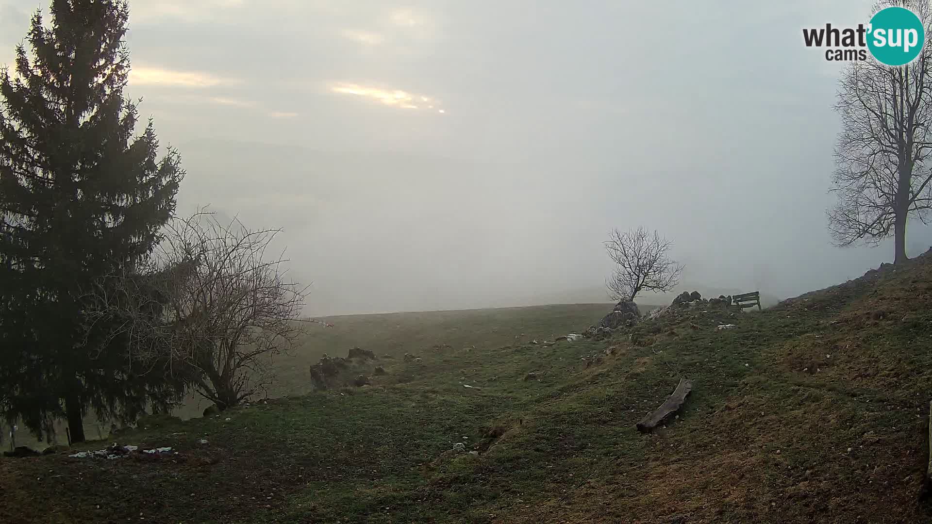 Slajka camera en vivo | Gorenja Vas | Eslovenia