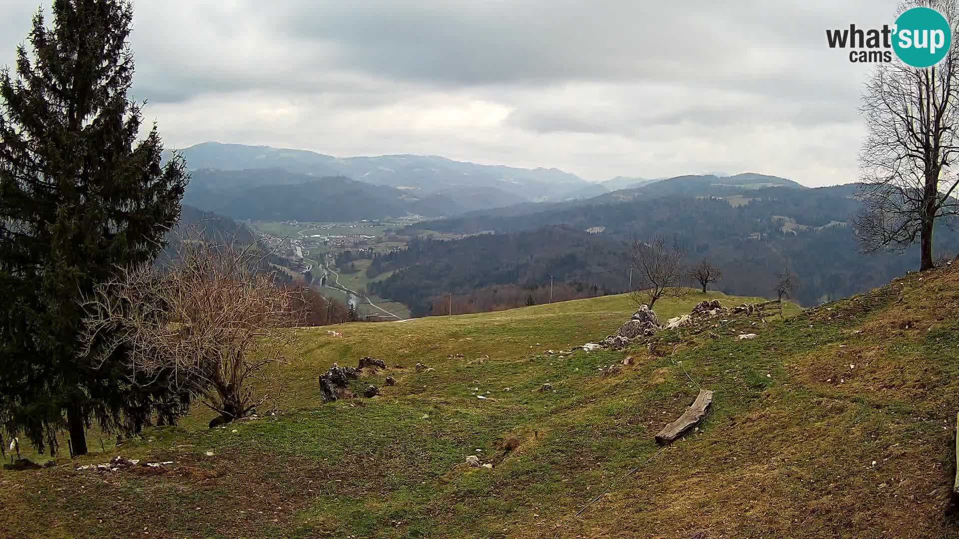 Slajka camera en vivo | Gorenja Vas | Eslovenia