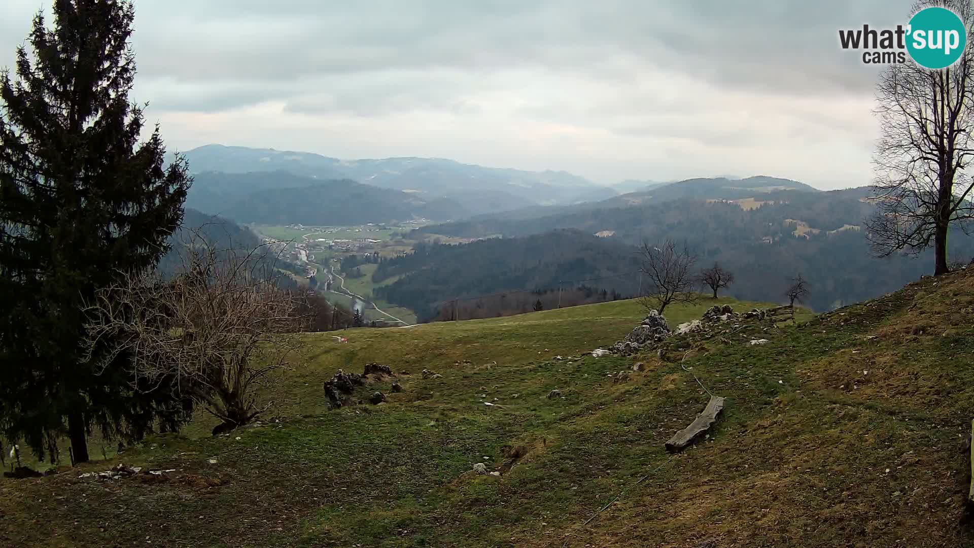 Slajka livecam | Gorenja Vas | Slovénie