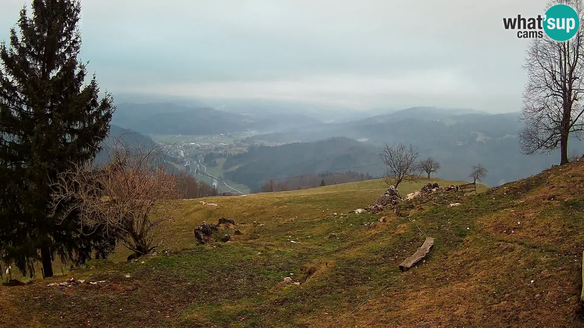 Slajka webcam | Gorenja Vas | Slowenien