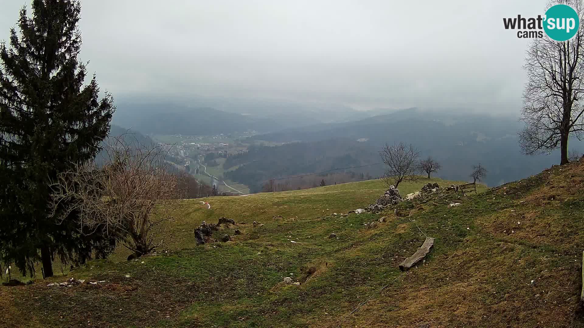 Slajka camera en vivo | Gorenja Vas | Eslovenia