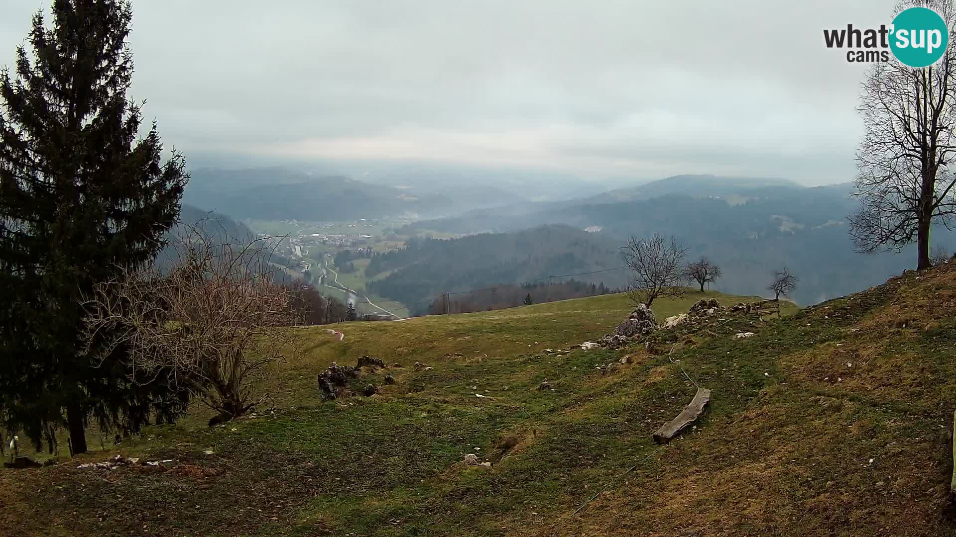 Slajka camera en vivo | Gorenja Vas | Eslovenia